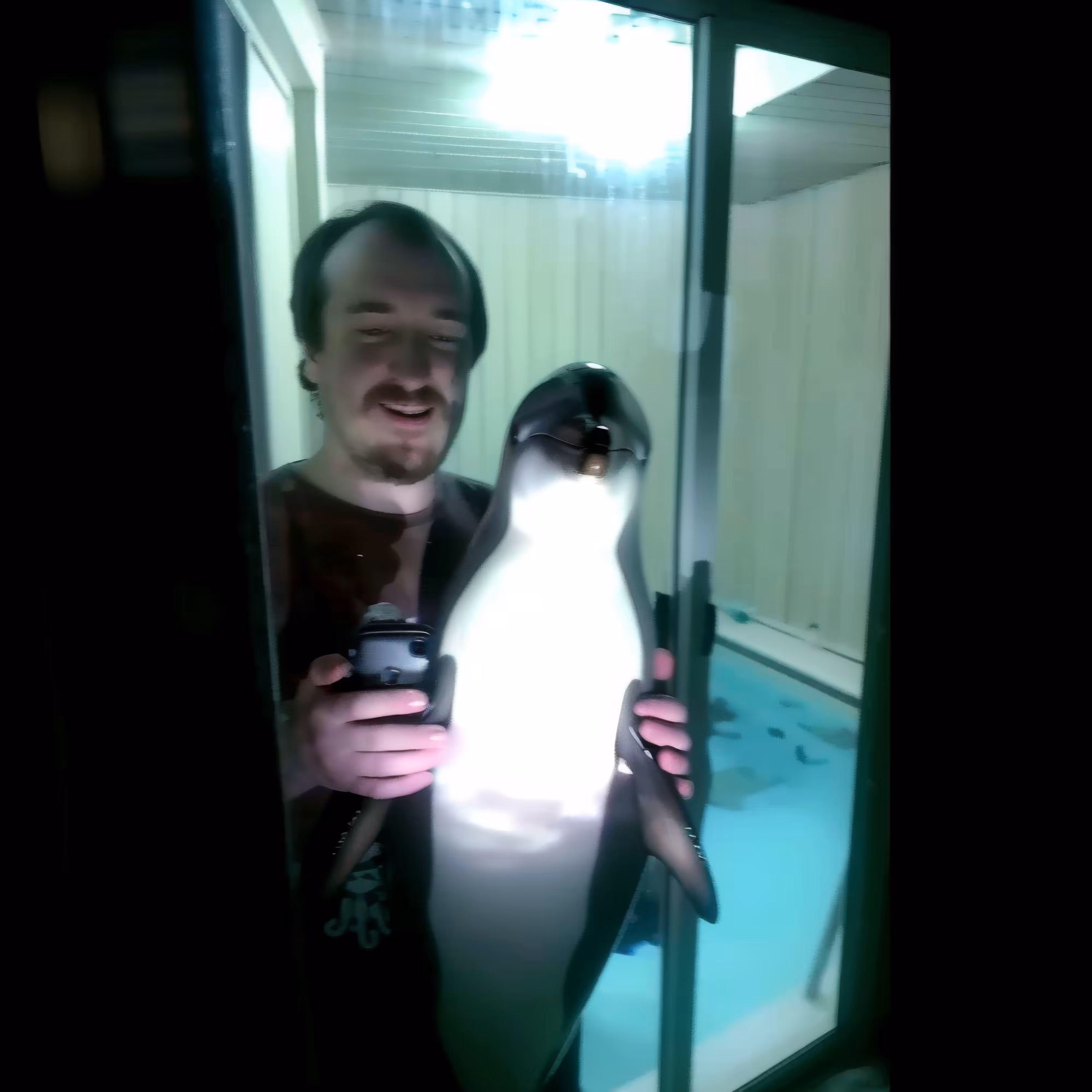 BAD JPEGs: Dolphin-Pal