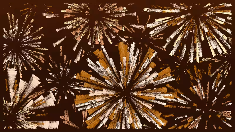 Fireworks #215