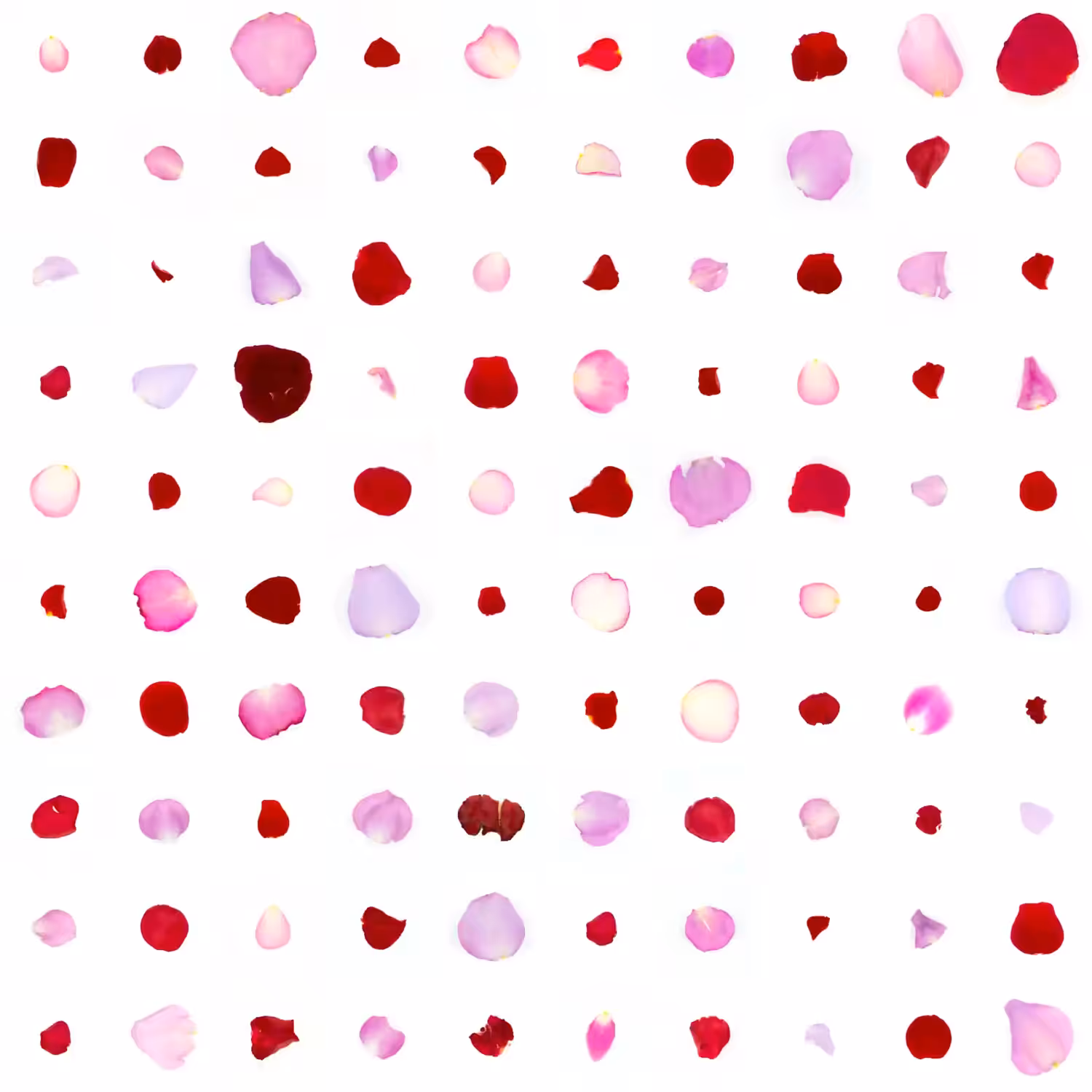 Infinite Petals 10x10#2309