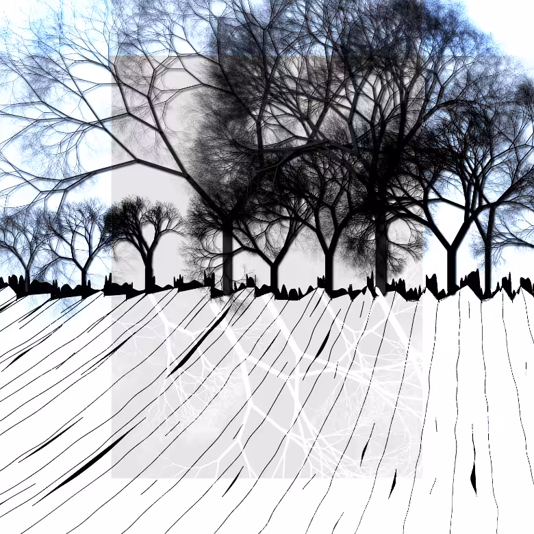 The horizon #3