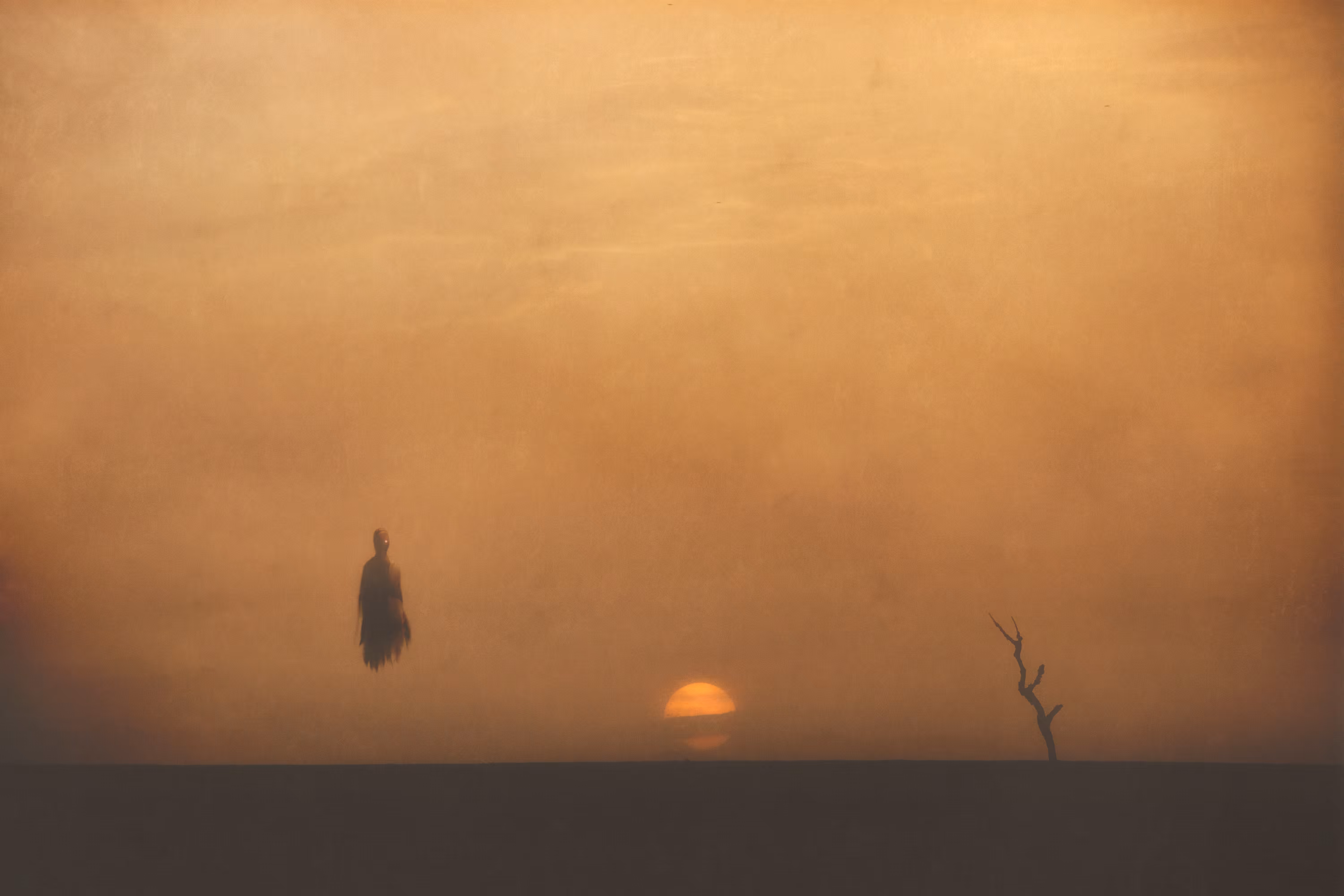 Jittery Land