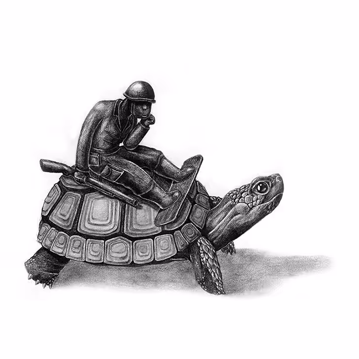 TURTLE