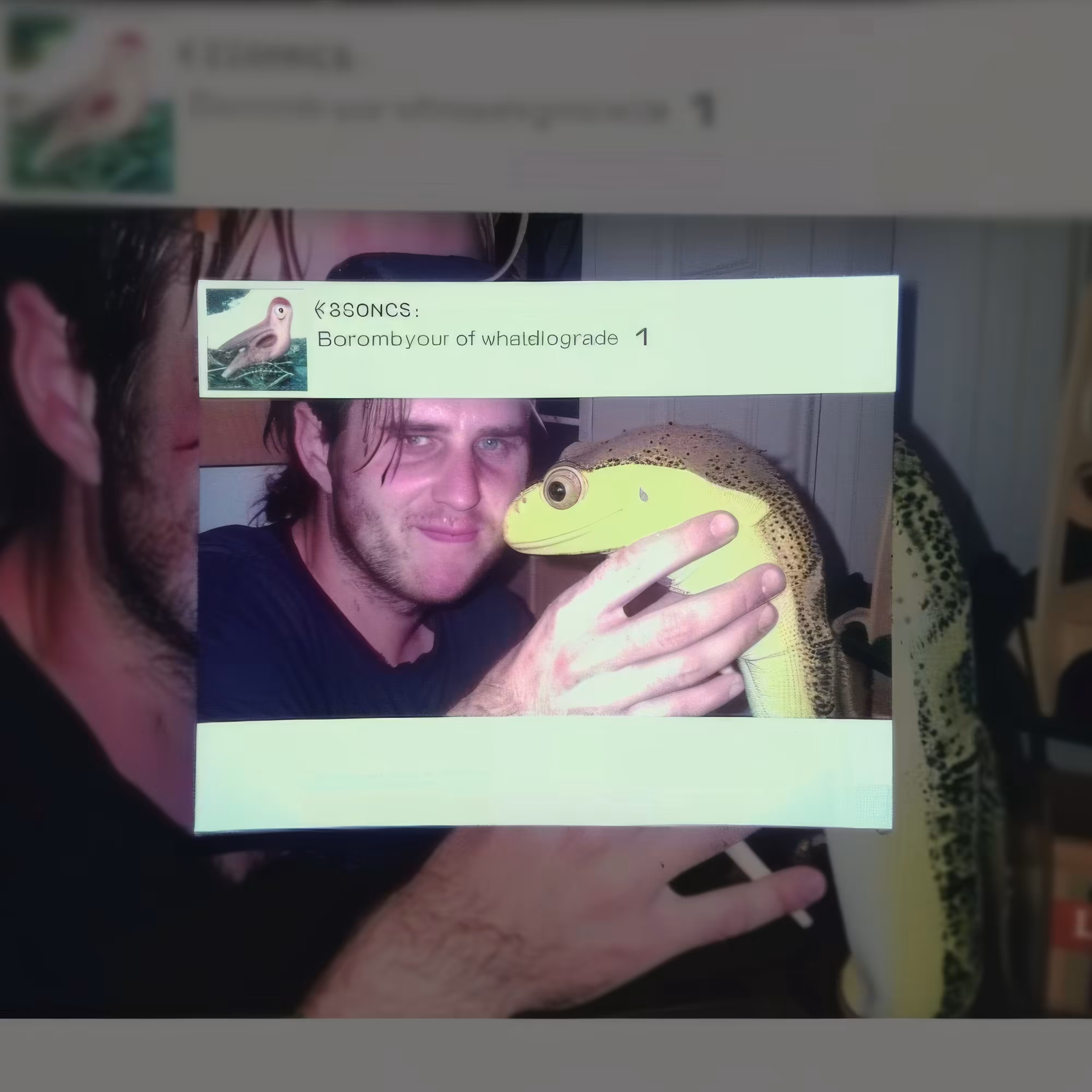 Lizard-Share
