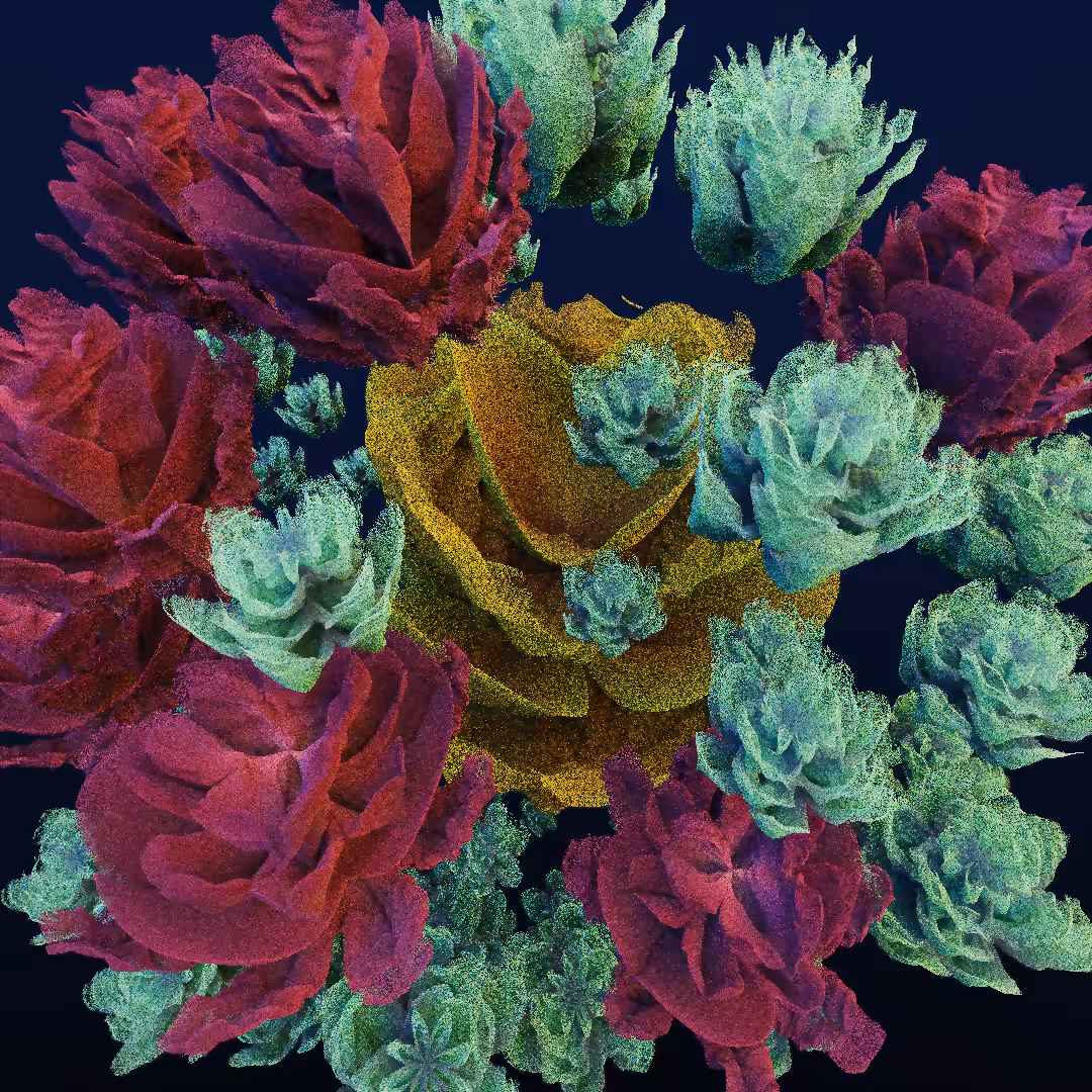 rosarium #103