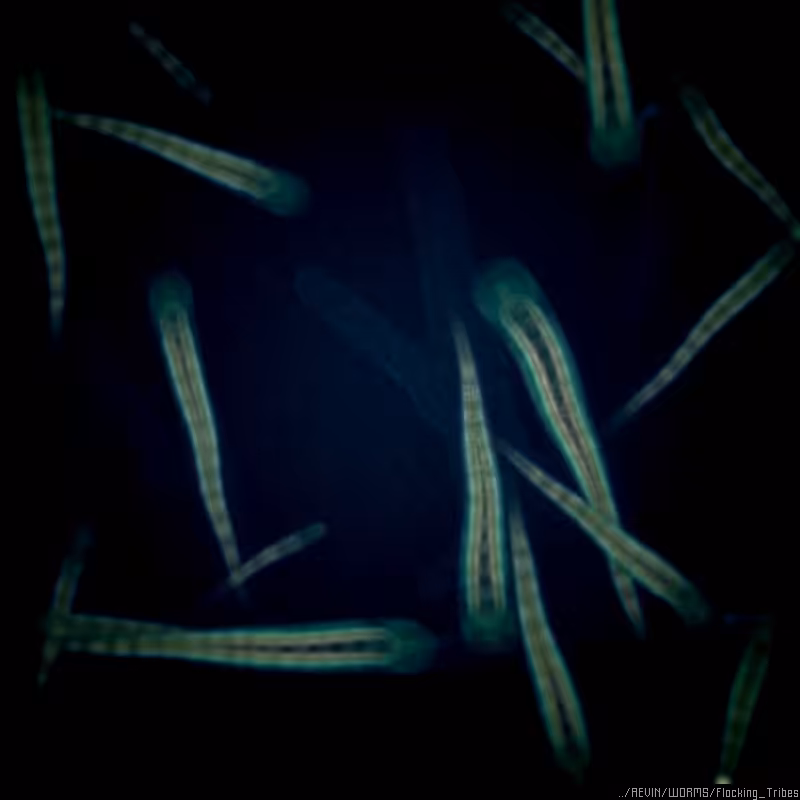 WORMS / Flocking Tribes #80