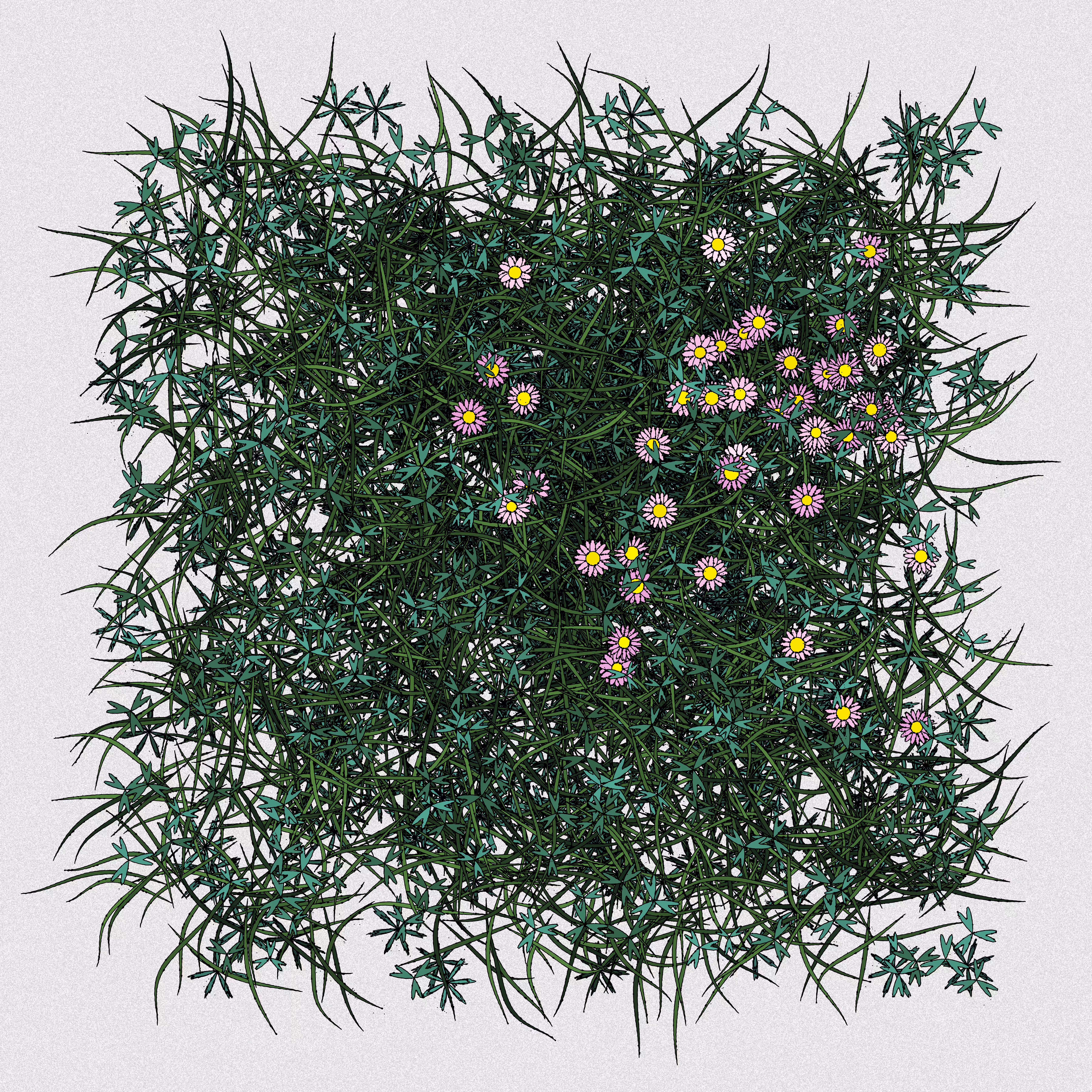 Pink Daisies #11