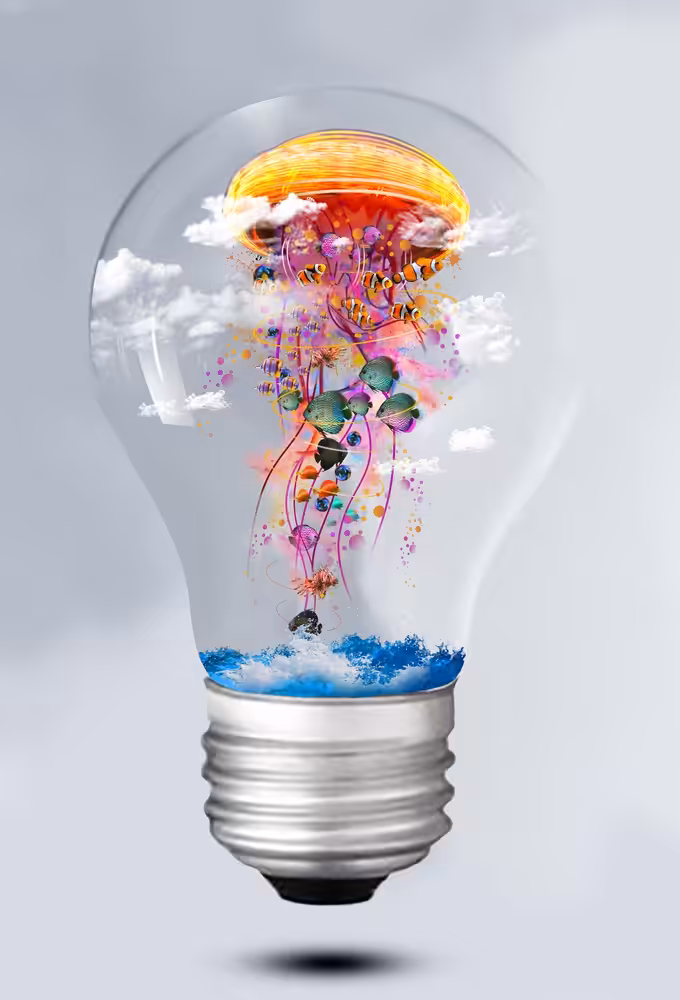 Electric Jellyfish World in the Light