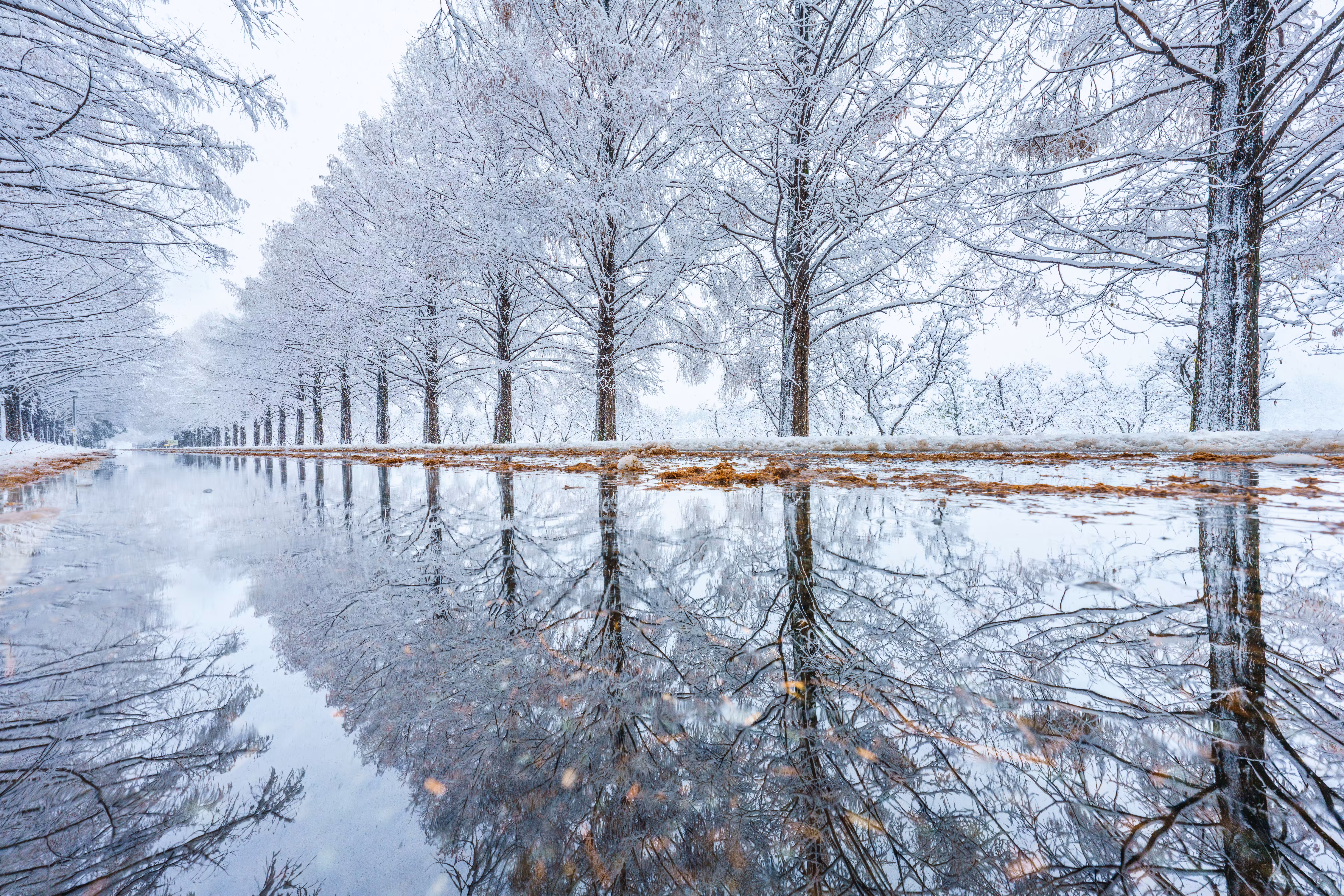 In between autumn and winter