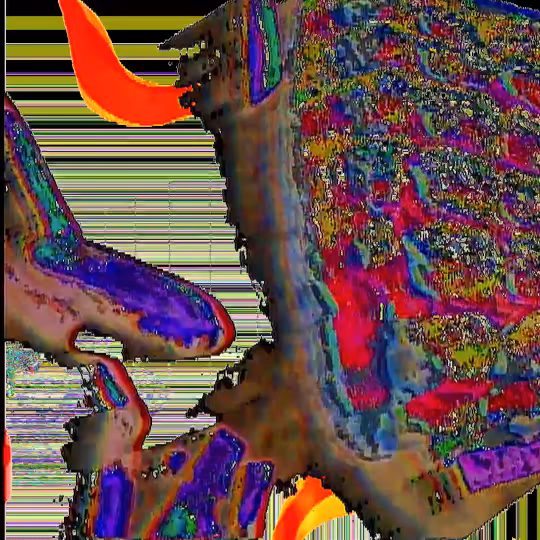OpenBopen