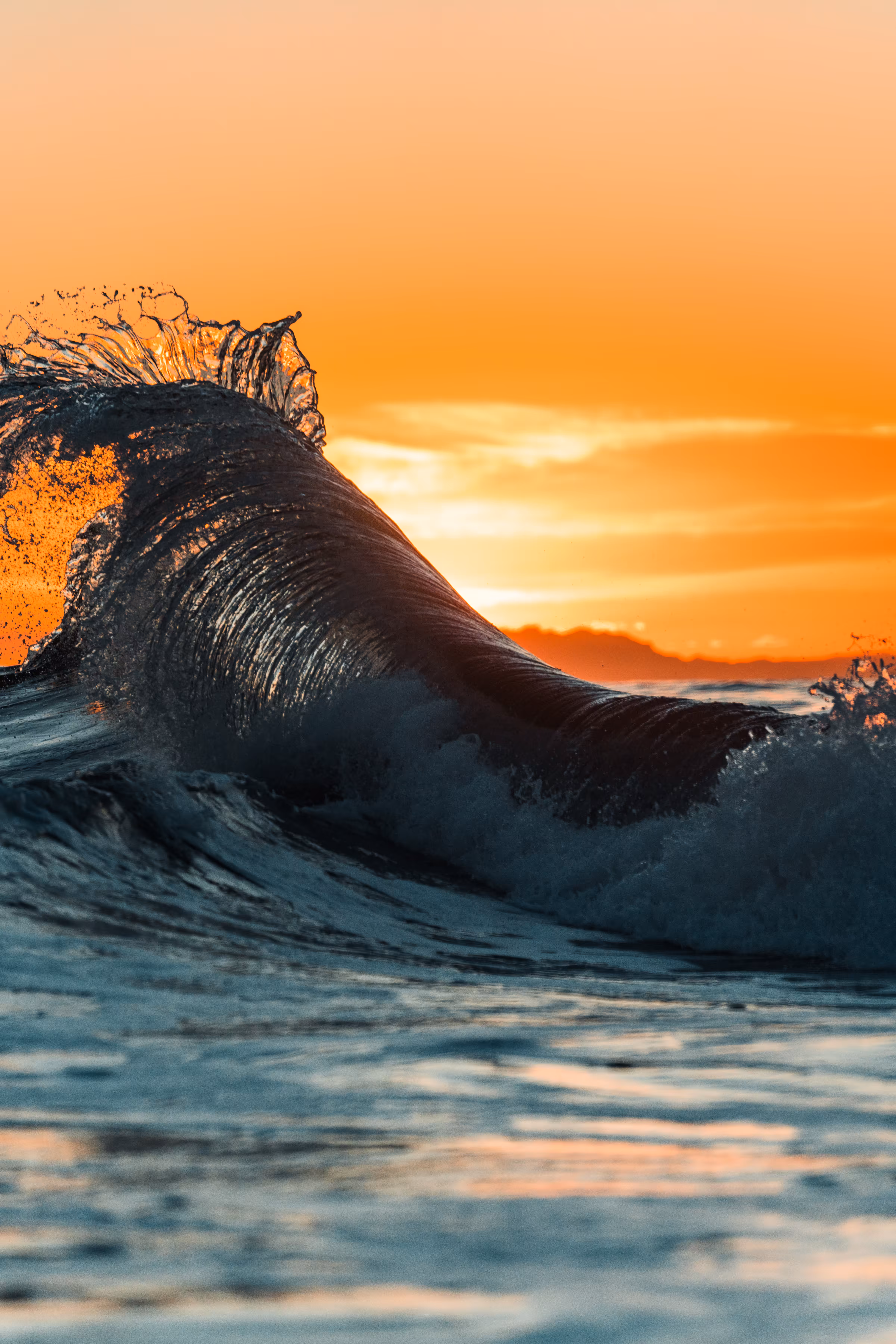 Rise
