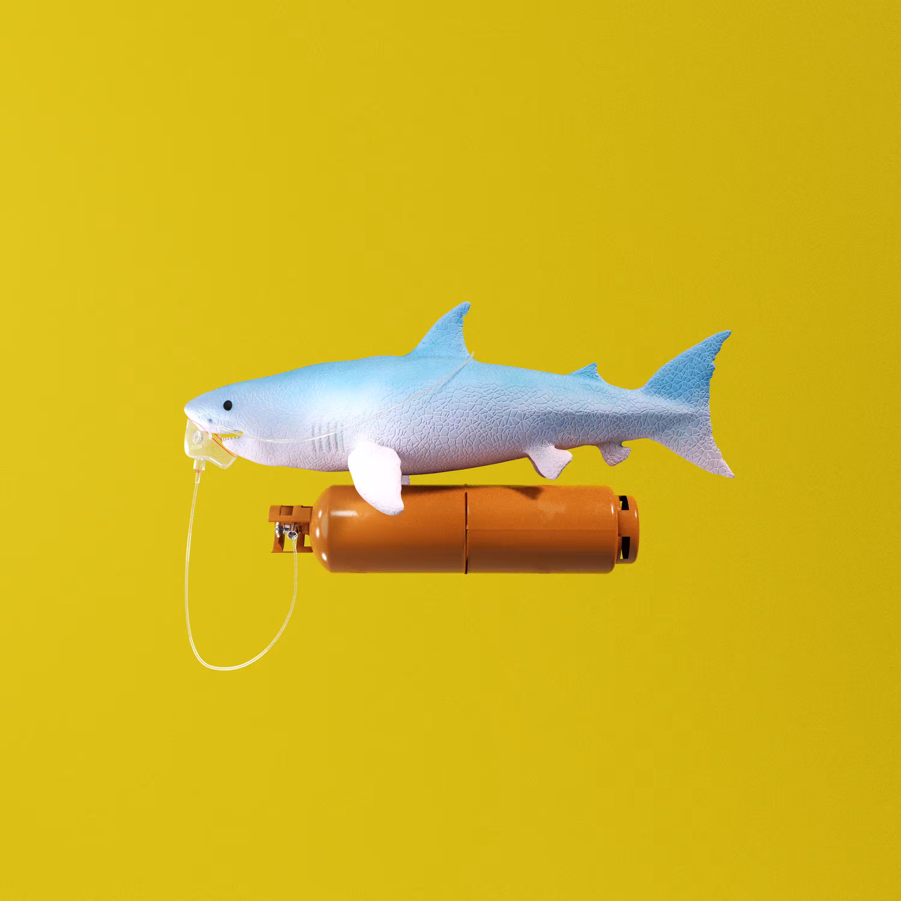 Non Fungible Shark [MERRY VOICE]