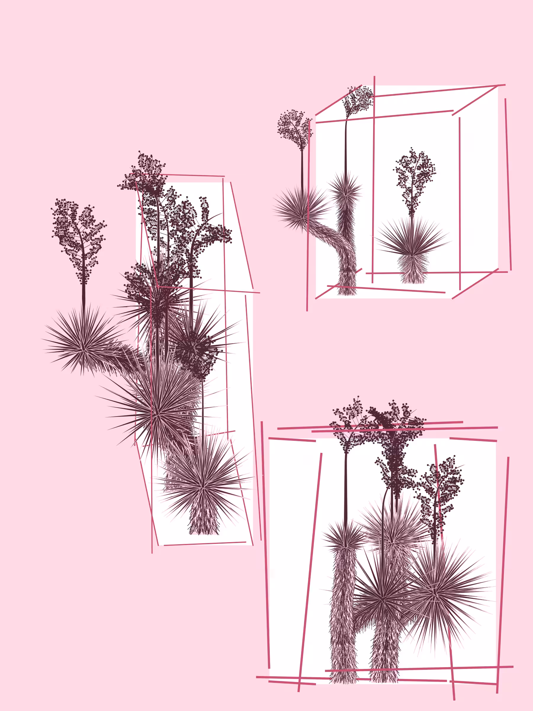 Marfa Yucca #39