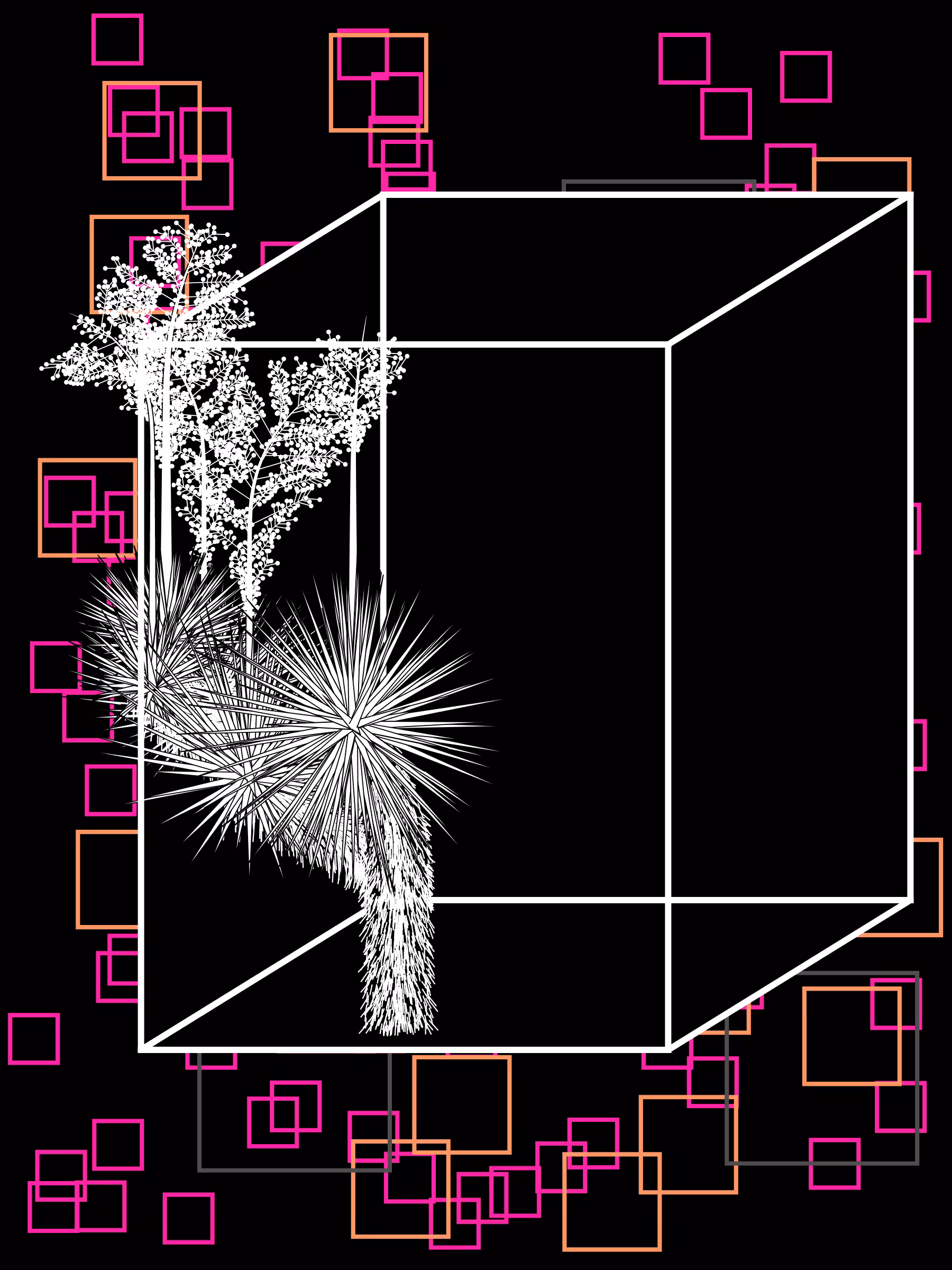 Marfa Yucca #300