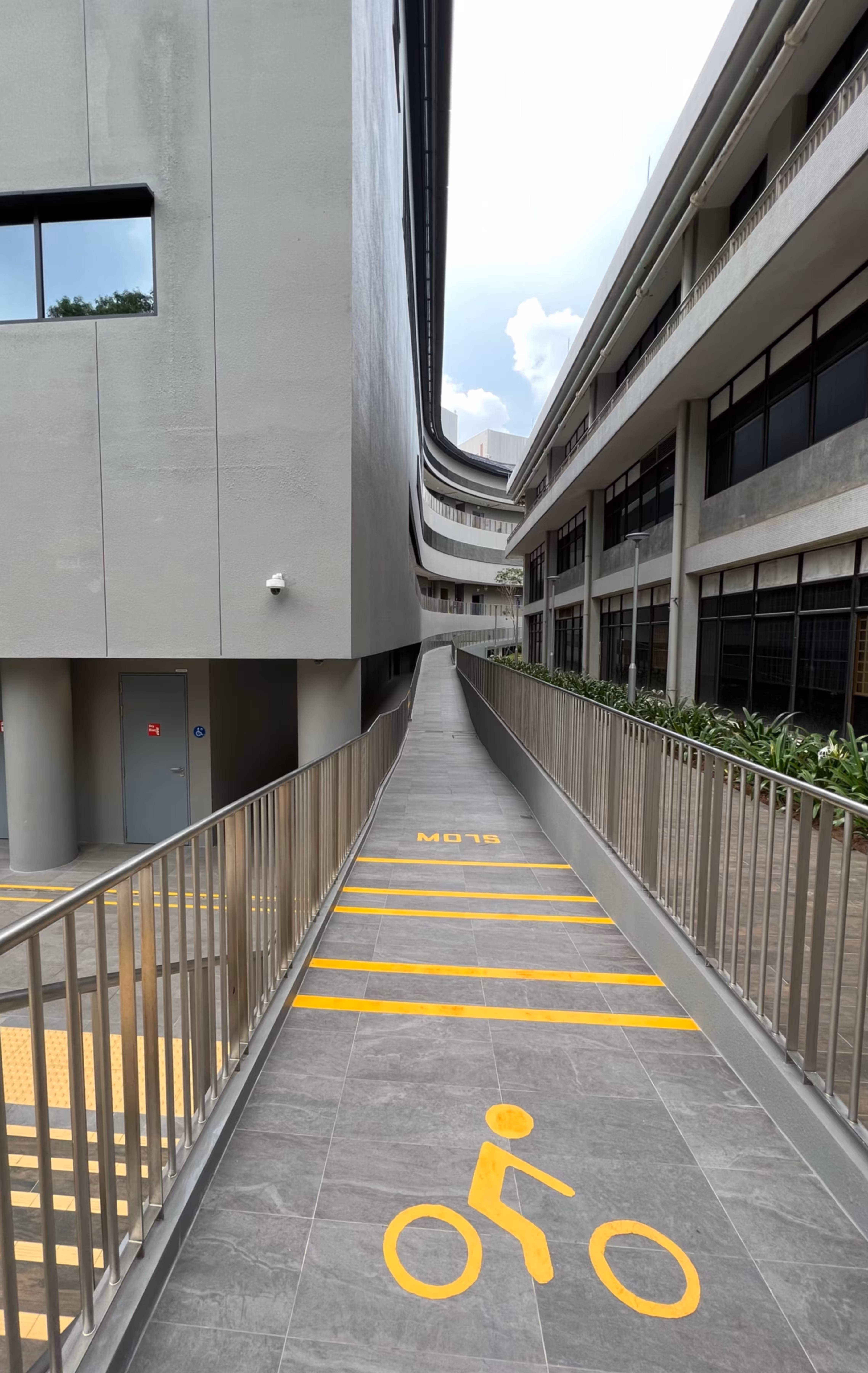 New Path 