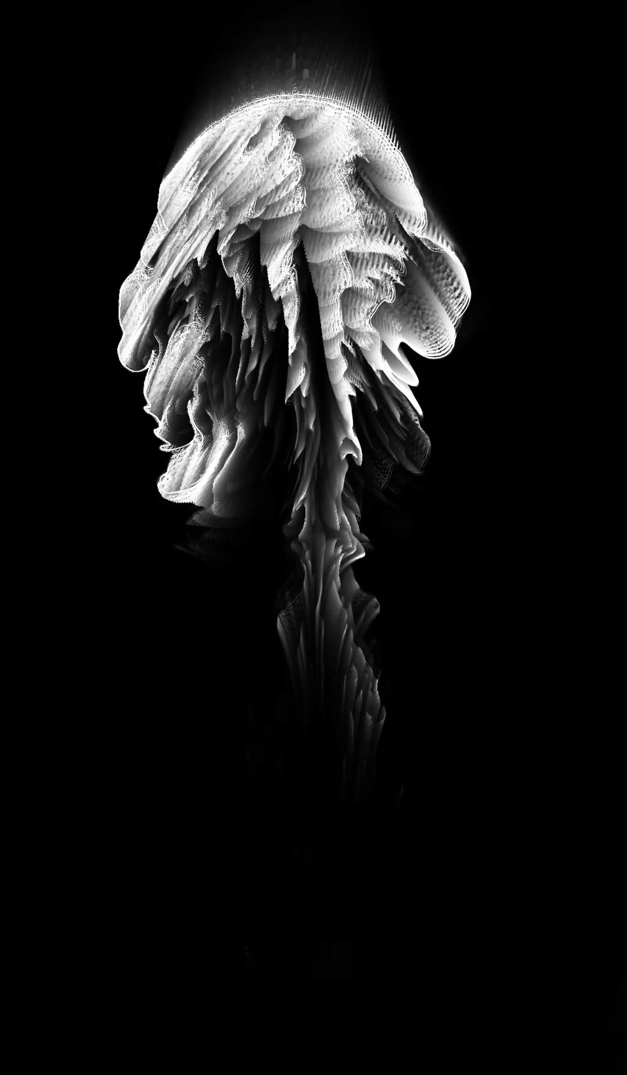 Xenoplankton II - Medusozoa