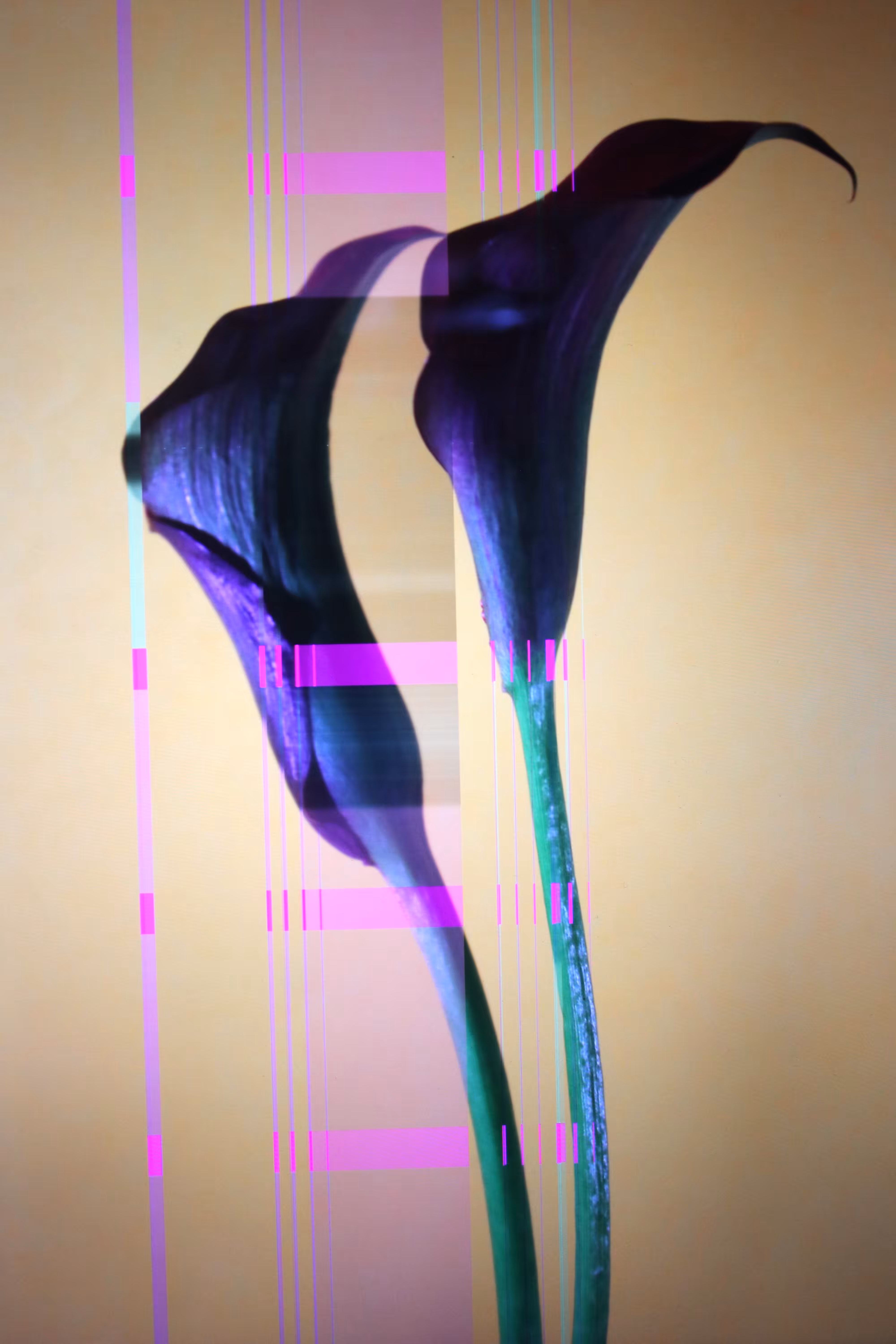 LOWREZ077