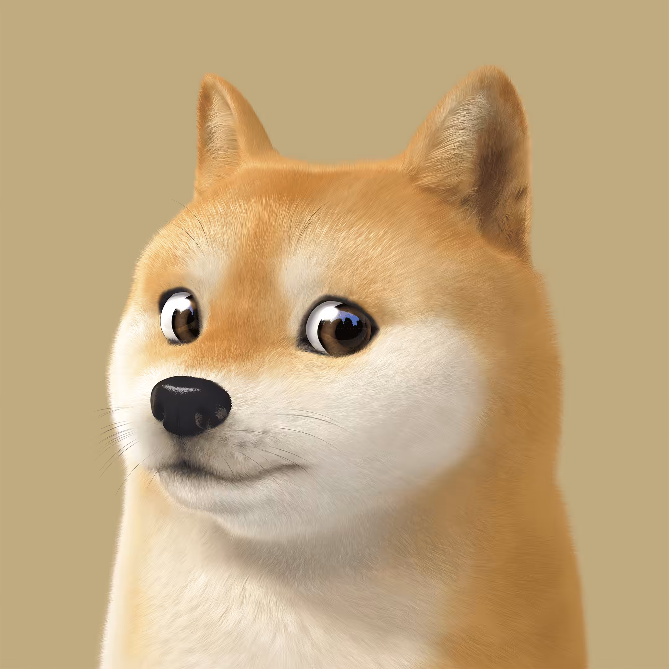 #431 Doge the Shiba Inu (GOLD ver.)
