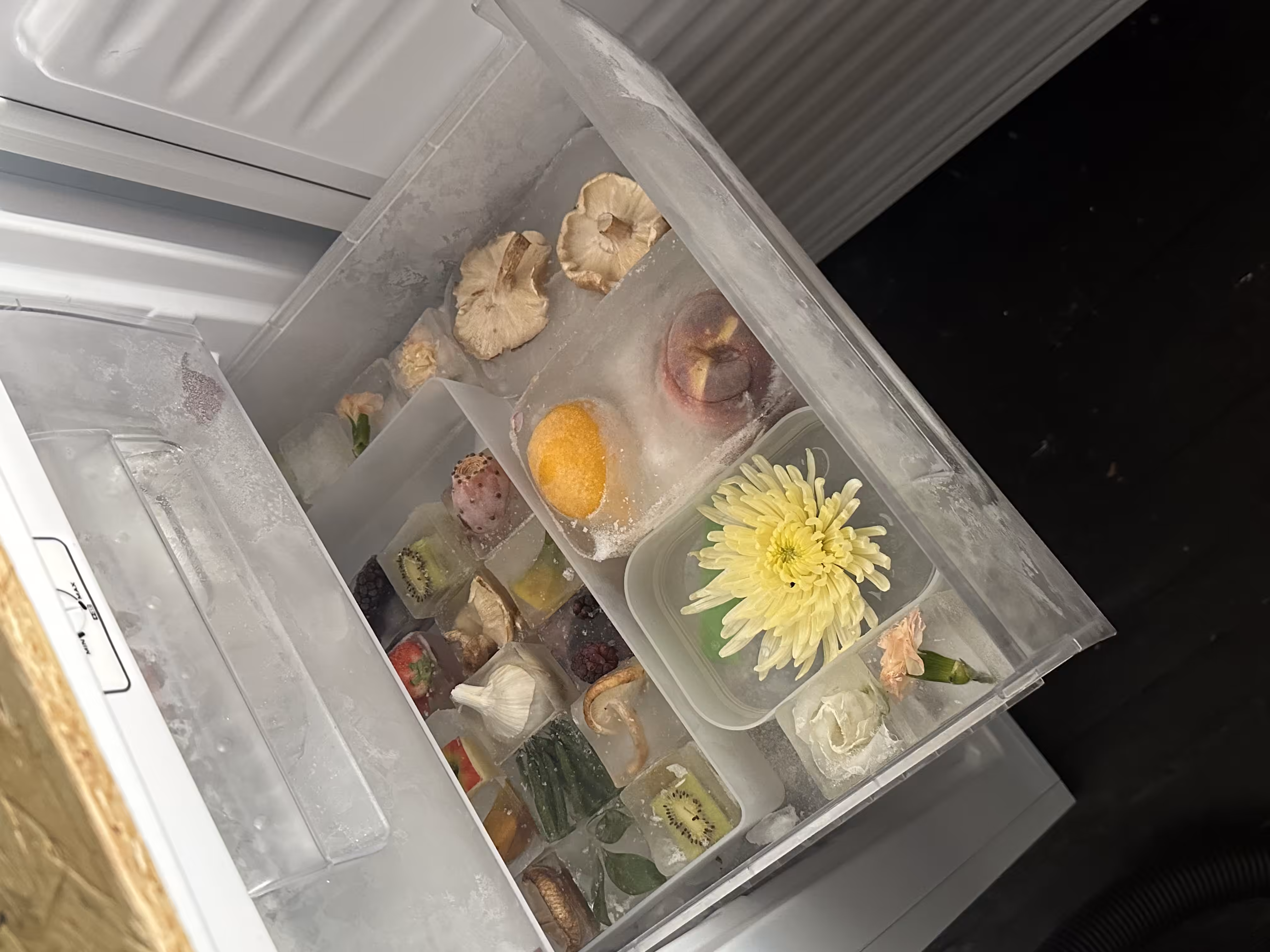 What’s in your fridge ?