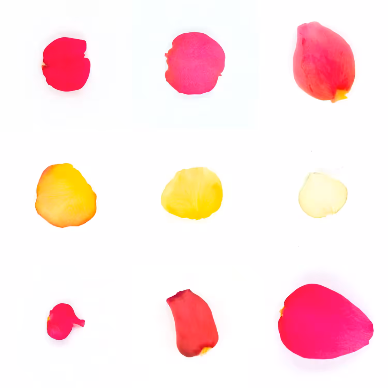 Infinite Petals 3x3#20057