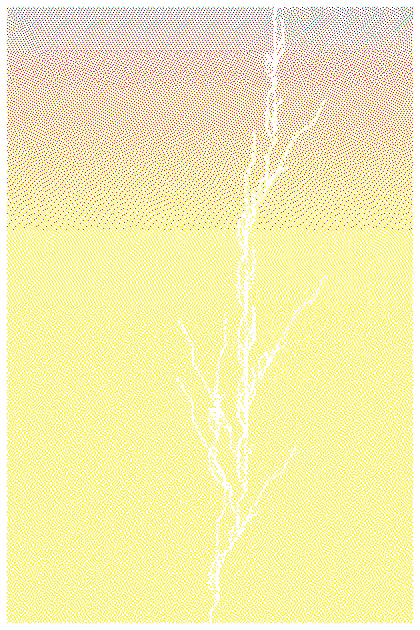 Imprints #19