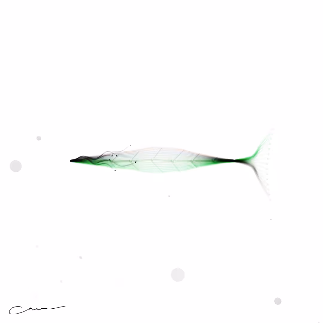 SoulFish #52