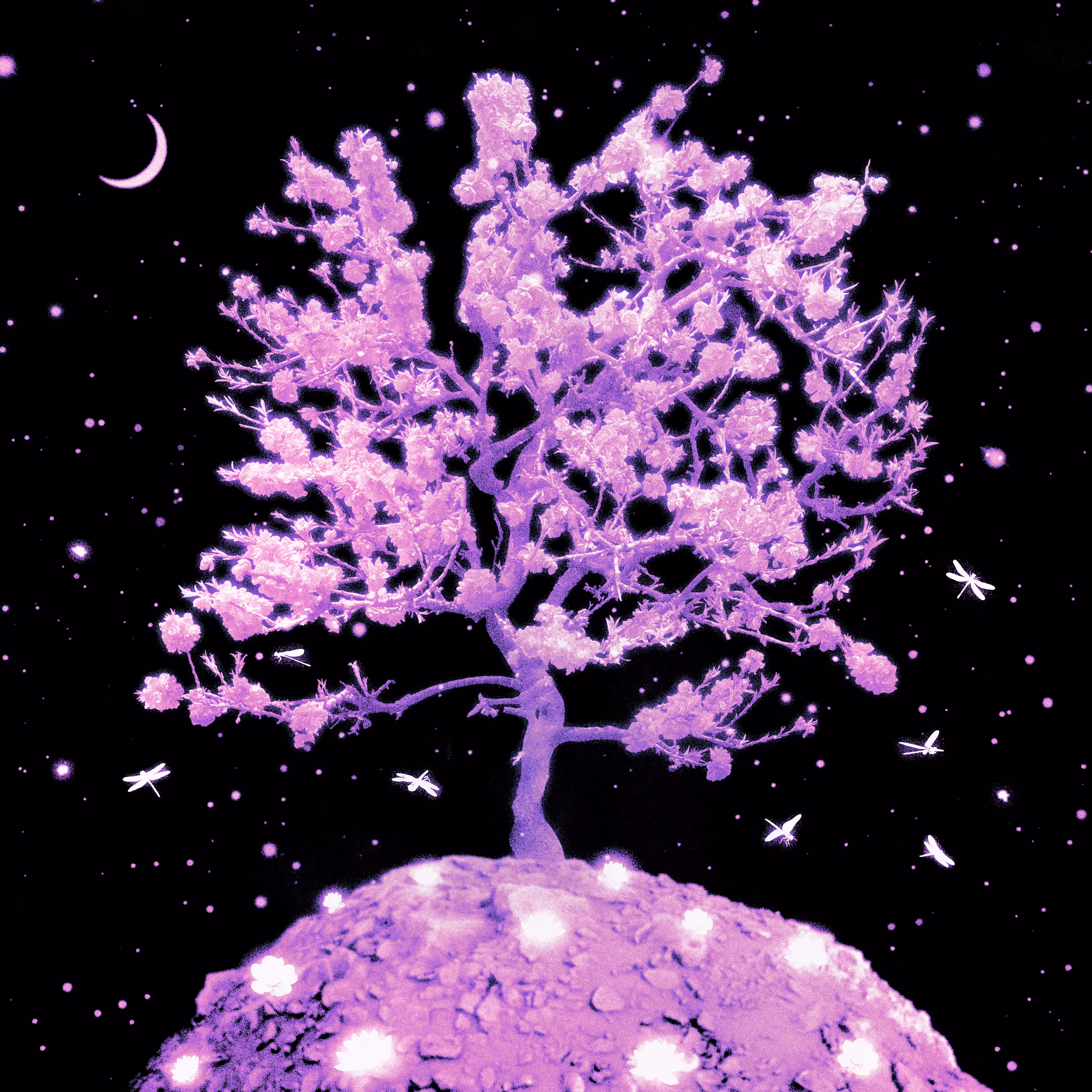Magic fragrance