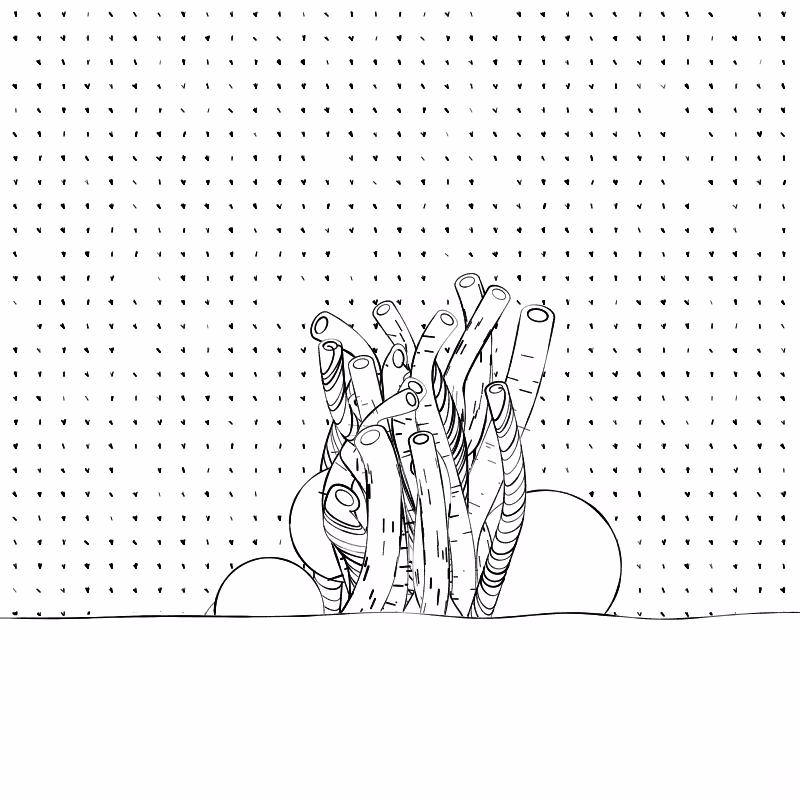 The Good Corals #14