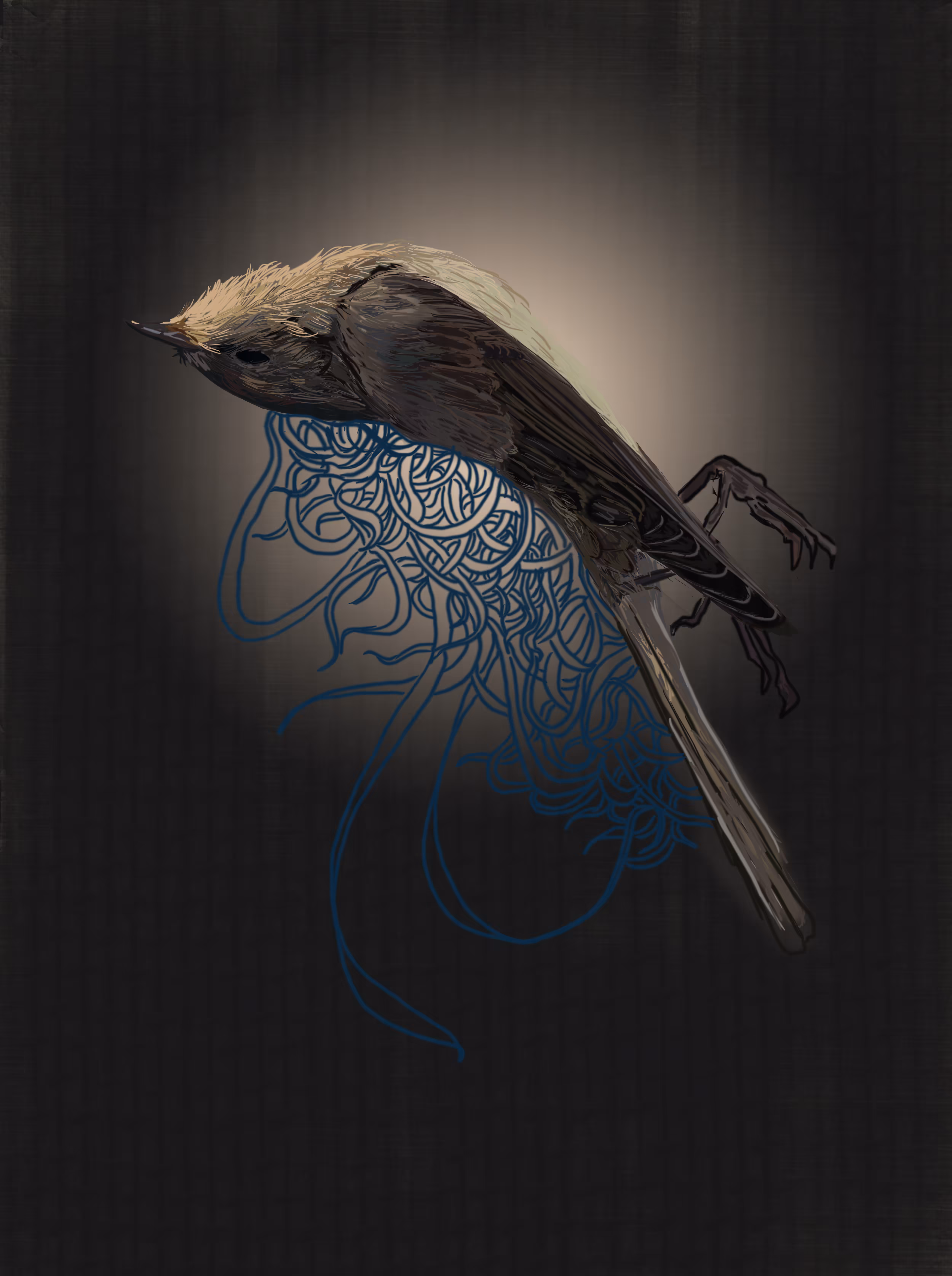 Elegy of Flight