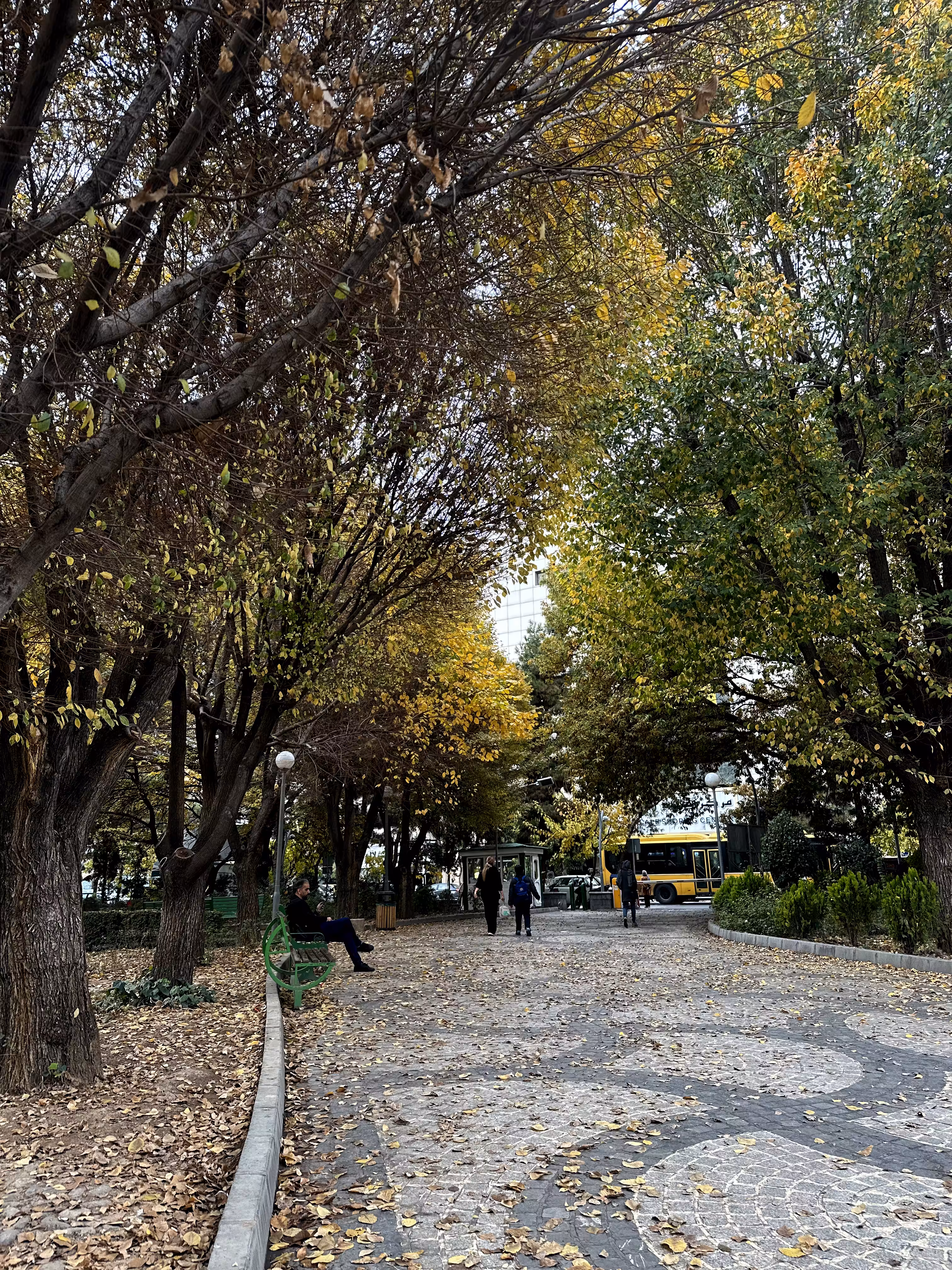 Merrylands-objkt: Autumn in the city