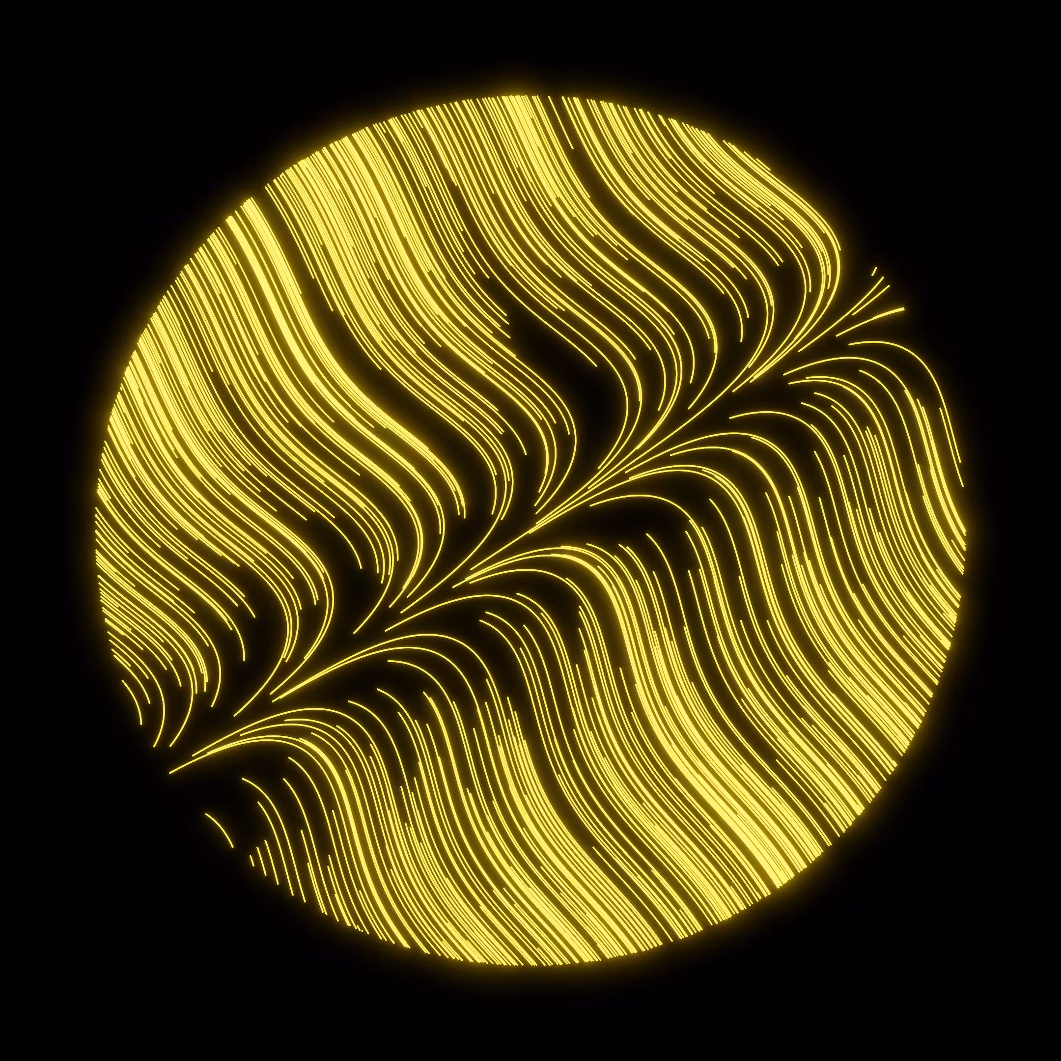 Vector Field 001