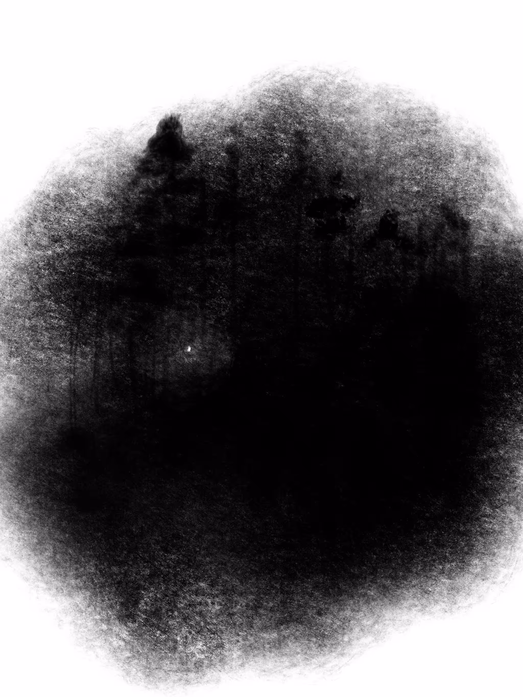 A Night in the Woods #1