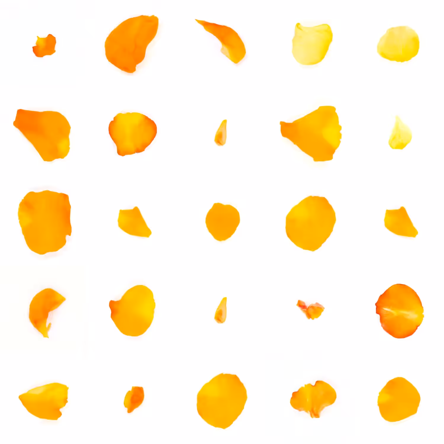 Infinite Petals 5x5#361