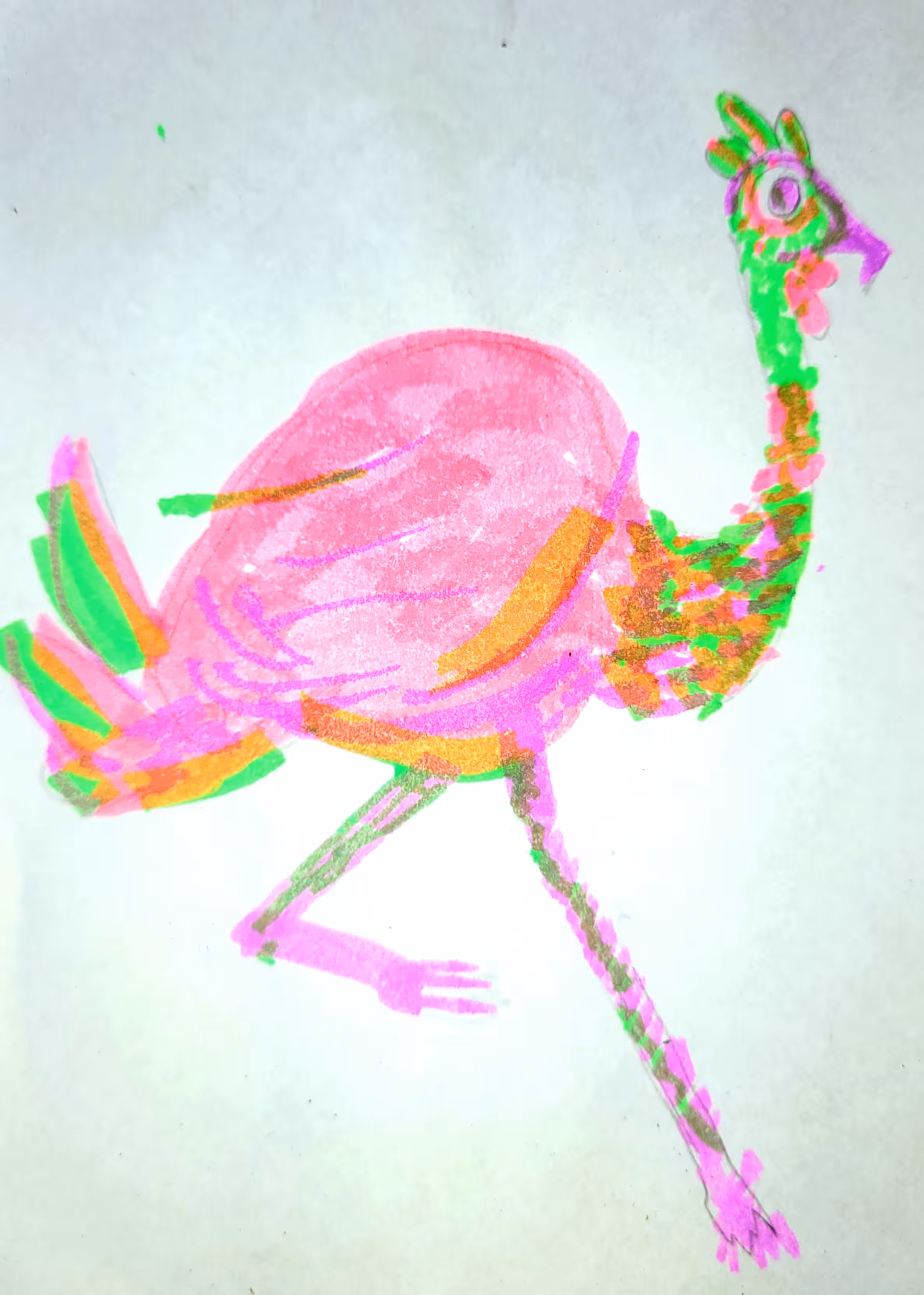 Weird bird 