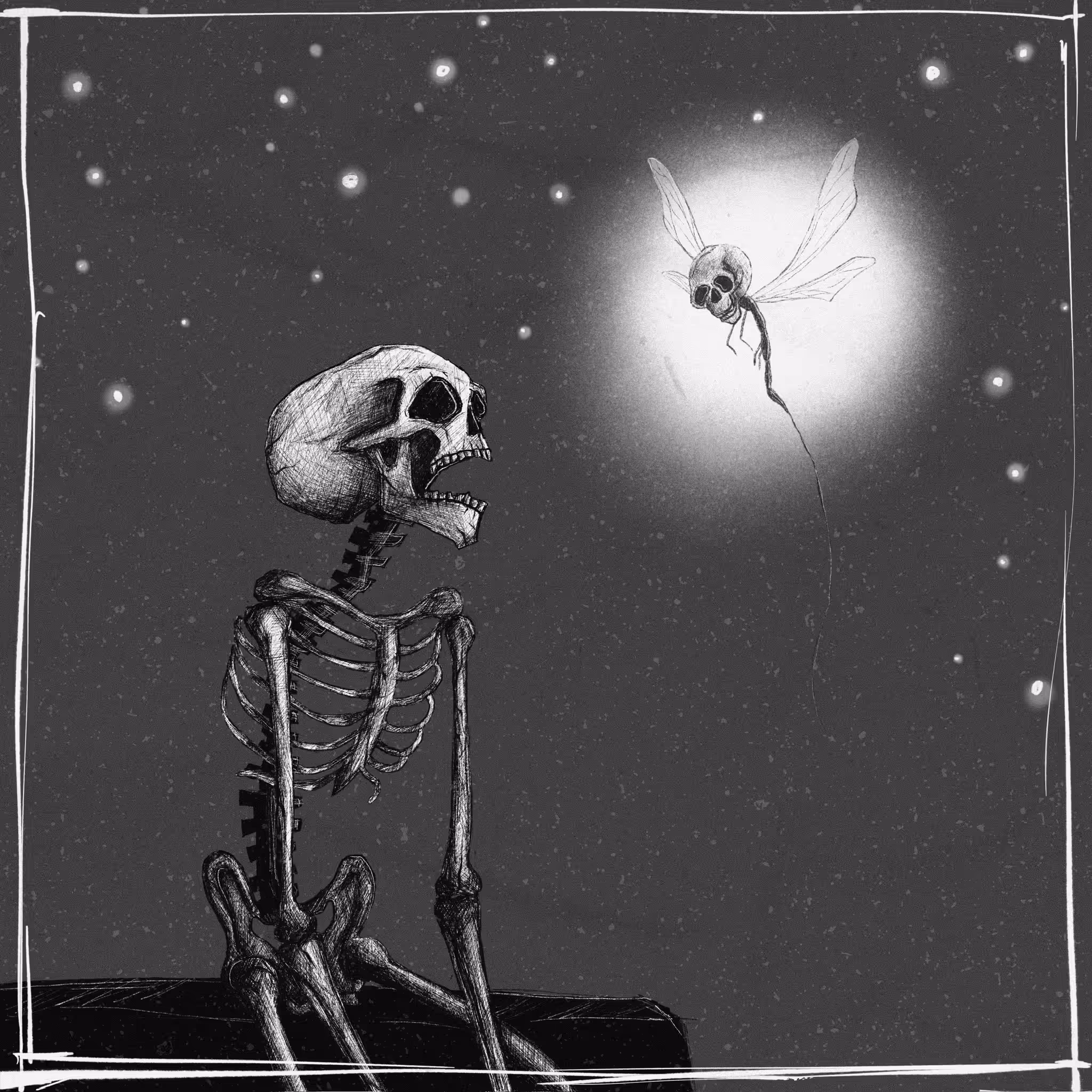 FIREFLY 