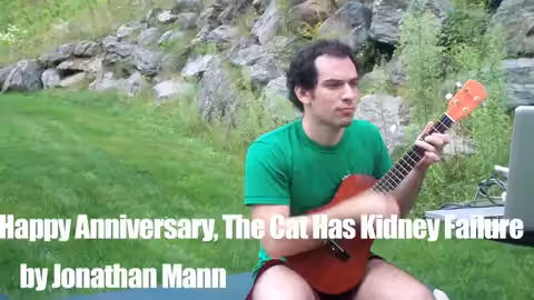 Happy Anniversary the Cat Has Kidney Failure | Song A Day #00234