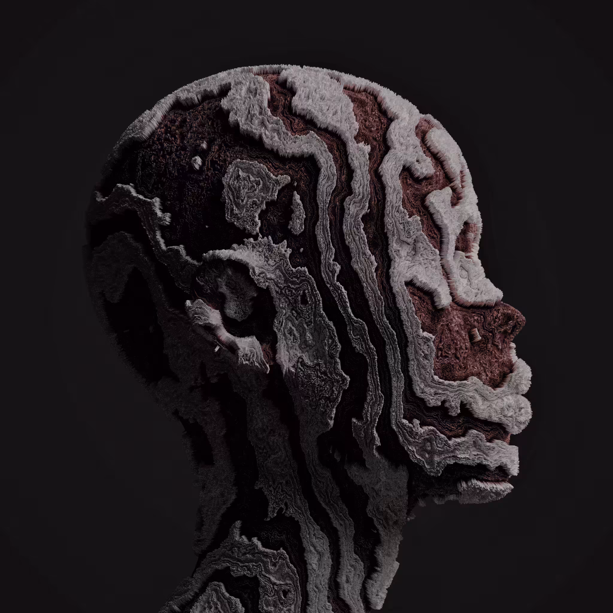 ABSTRACT HEAD 