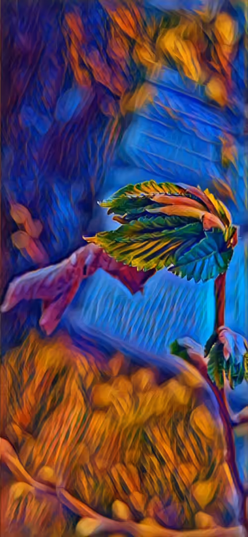 Flower in the Sky