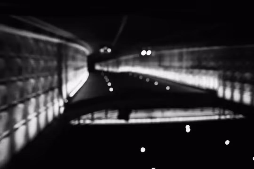 Black and white : The fallen night #2