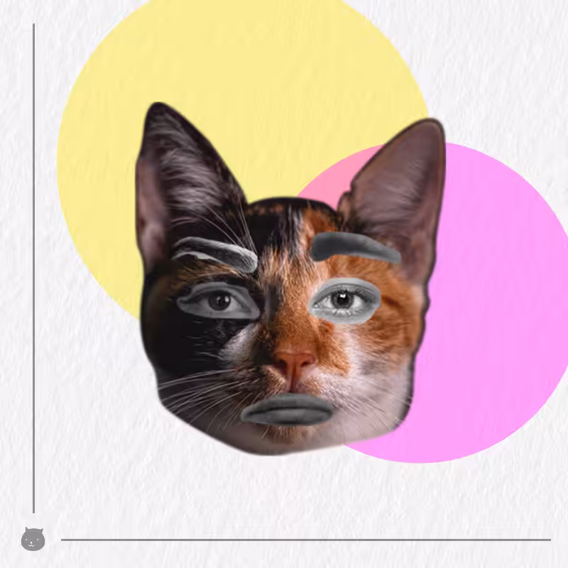 Kittenstein #63