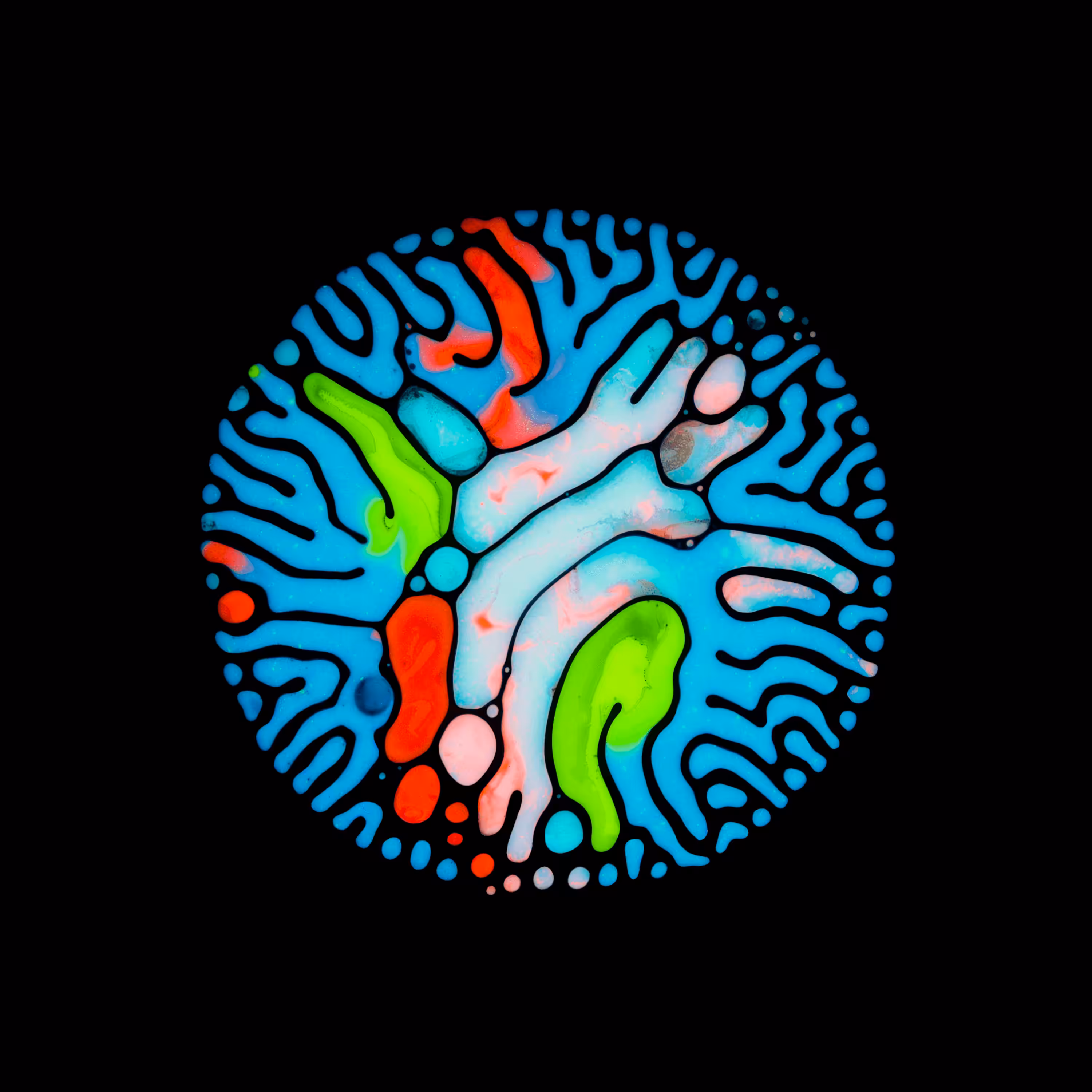 Haematopoiesis #170