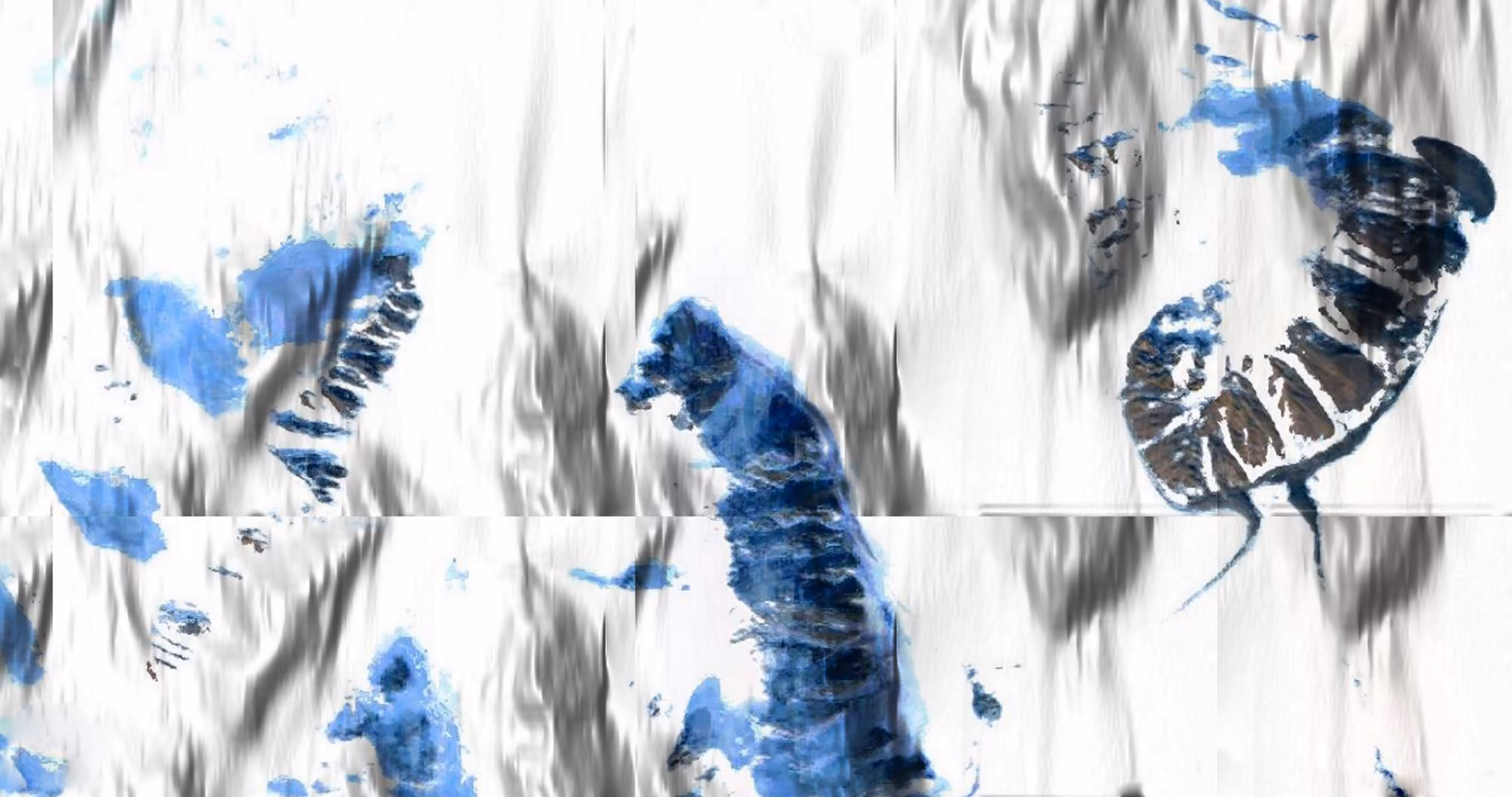 untitled (rendered inaccessible #3 - greenland1)
