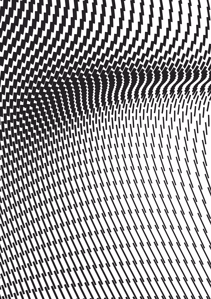 Zebra Glitch I