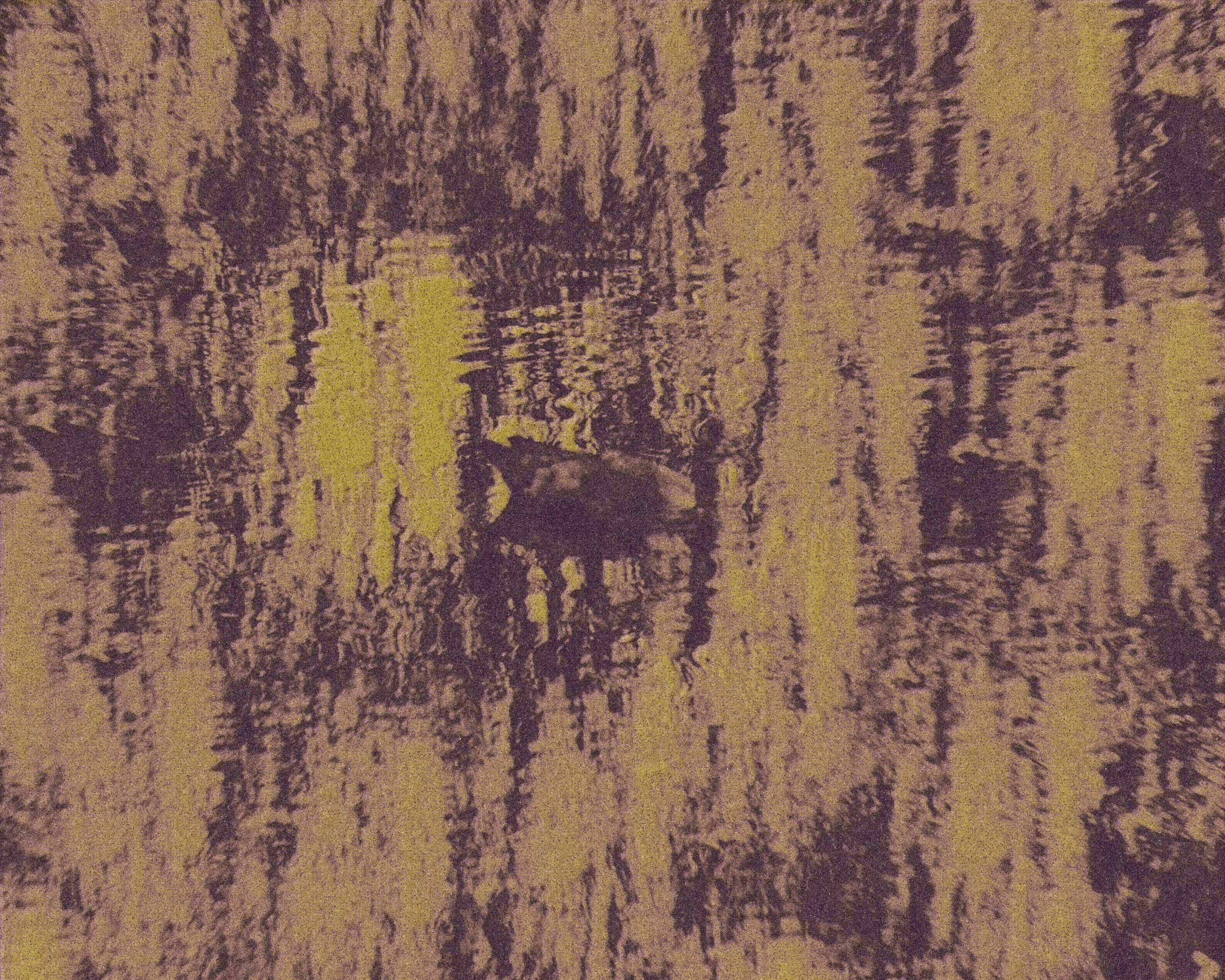 k4_k1#7_ente_schwimmt
