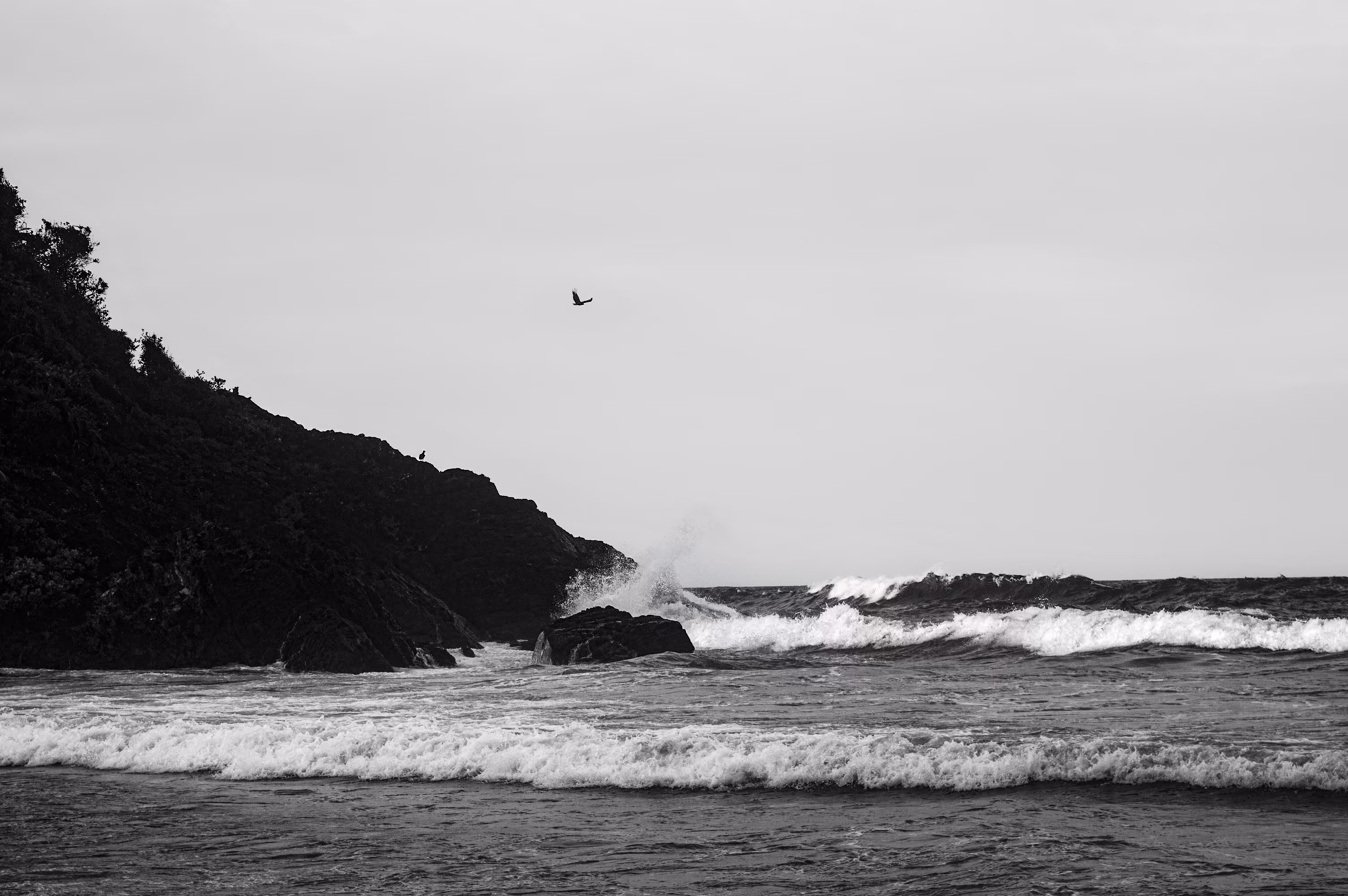 freedom