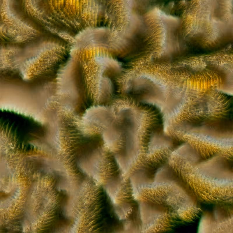 Genomes #62
