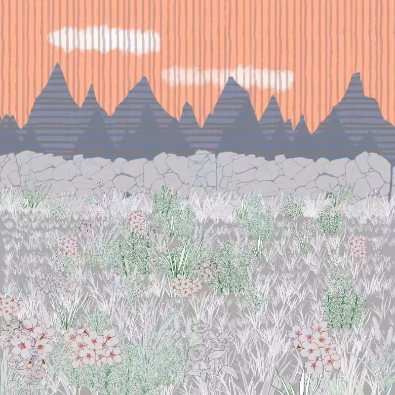 Mountain Meadows #10
