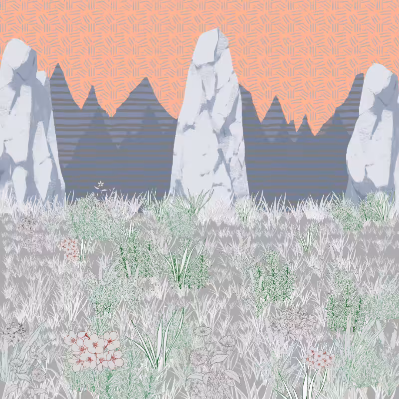 Mountain Meadows #45