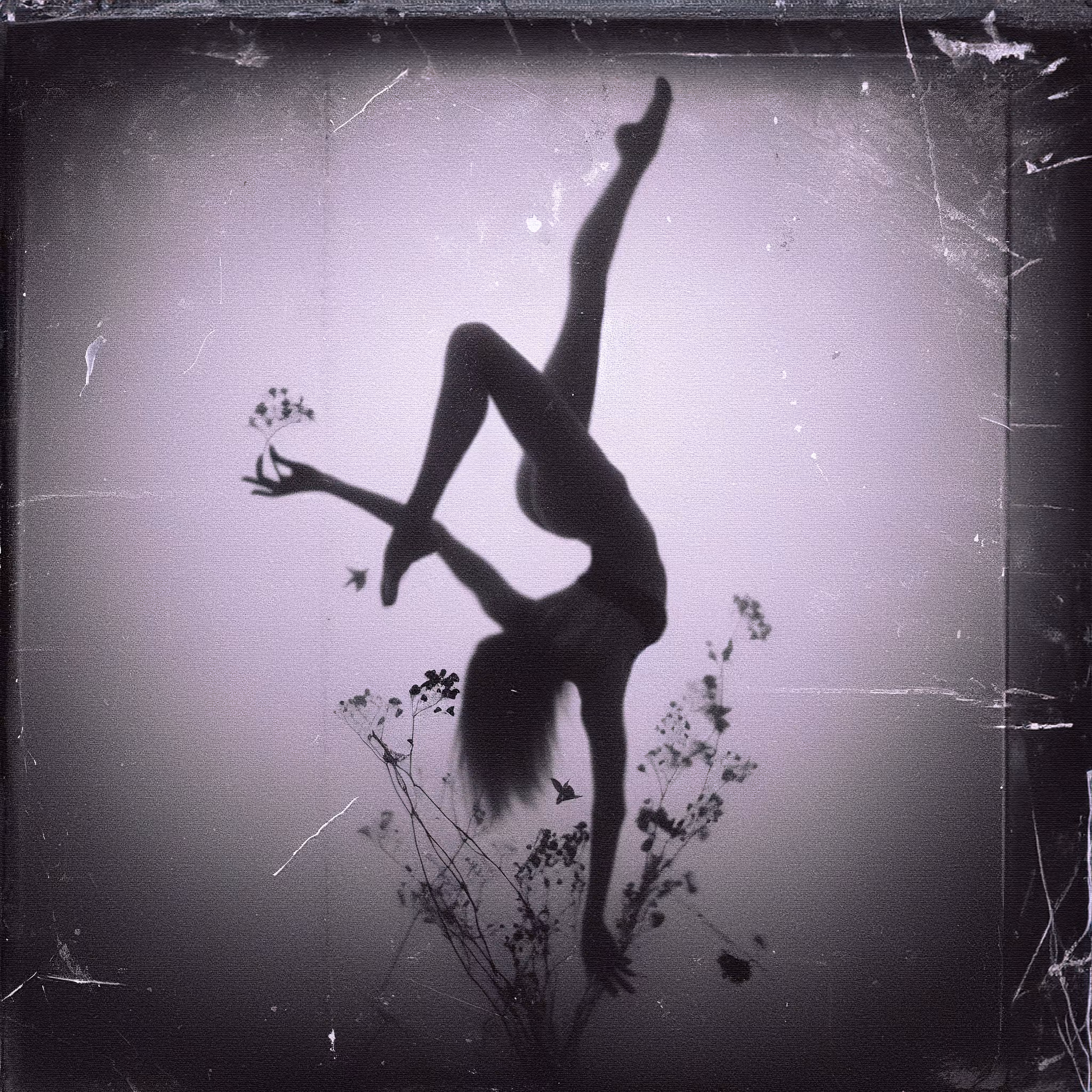 equilibrium.