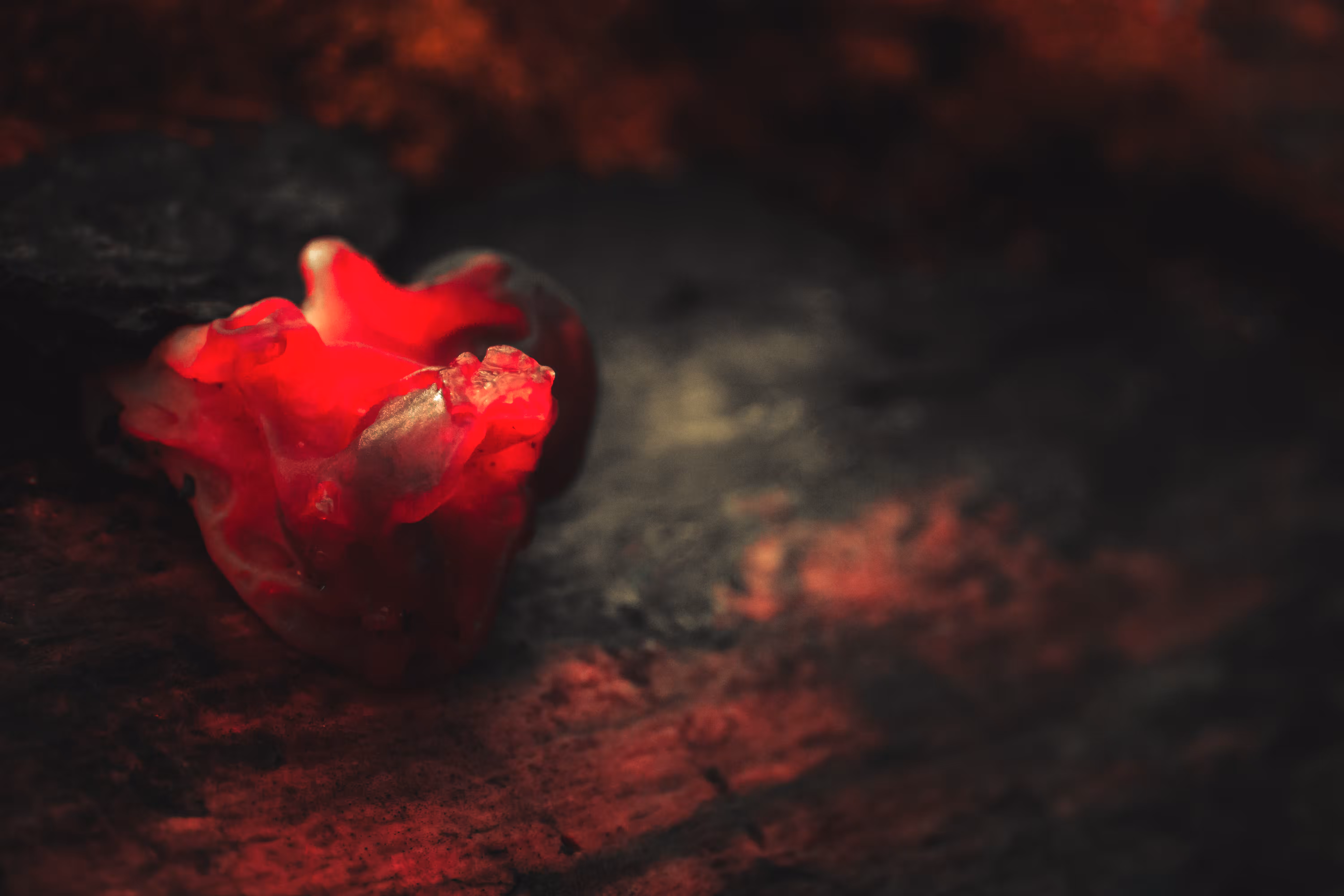 Scarlet Fever: Woodland Ruby