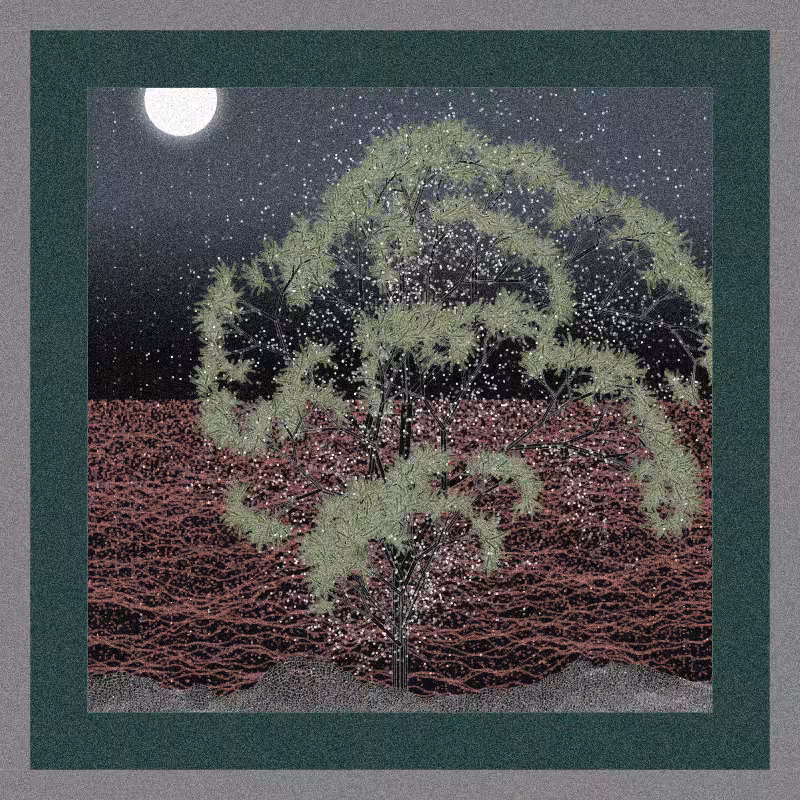 Lines of Solitude #60
